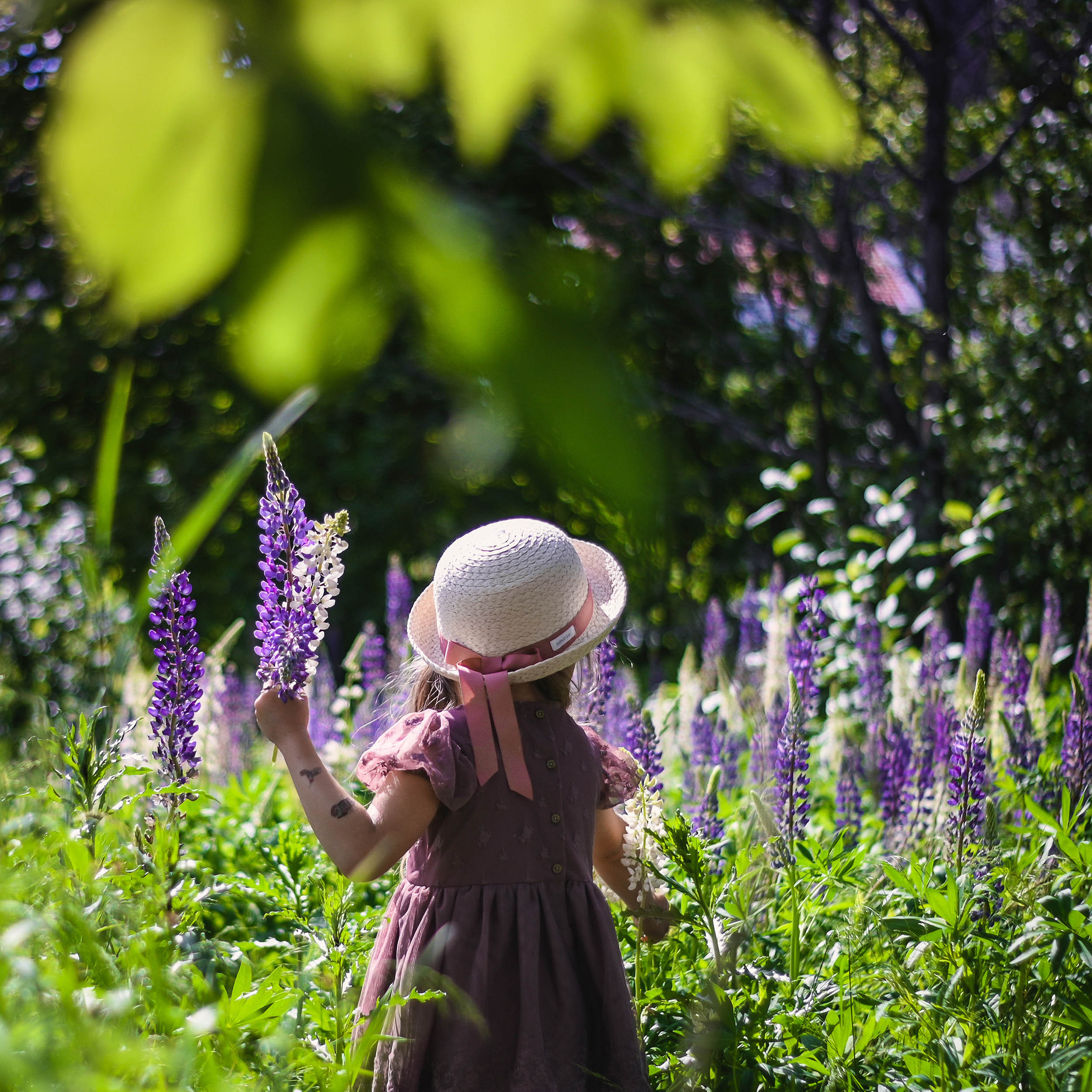 Lupin. Family and wedding photographer in Norway Bublik Polina