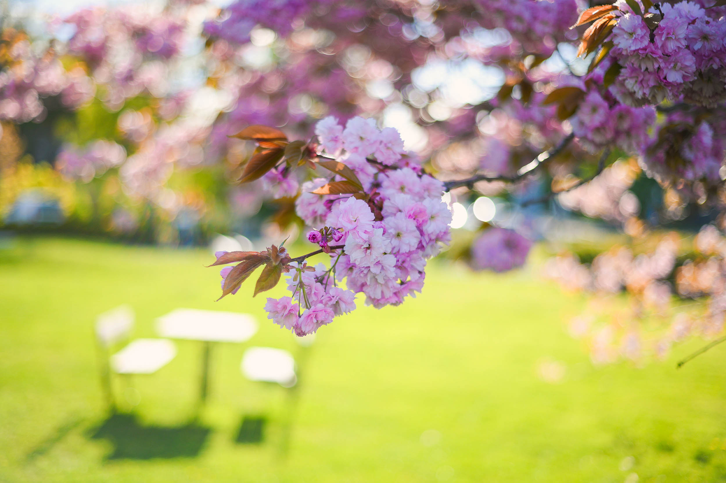 Viki + 3🐒🐒🐒. Family and wedding photographer in Norway Bublik Polina