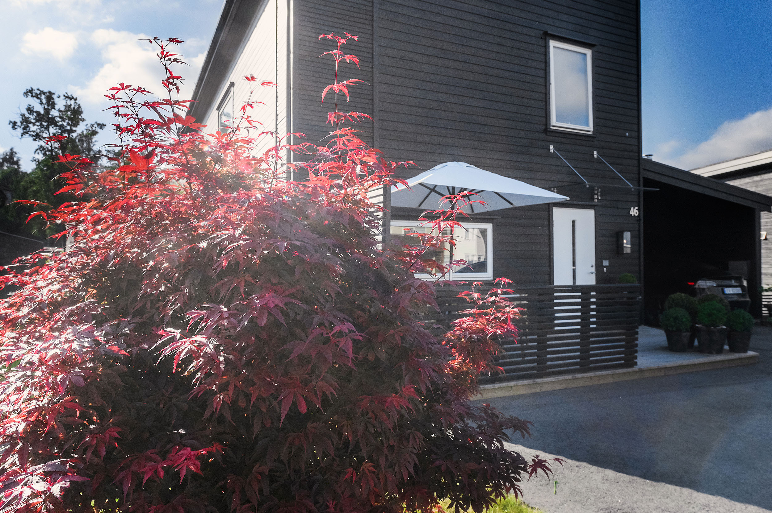 -3-. Family and wedding photographer in Norway Bublik Polina