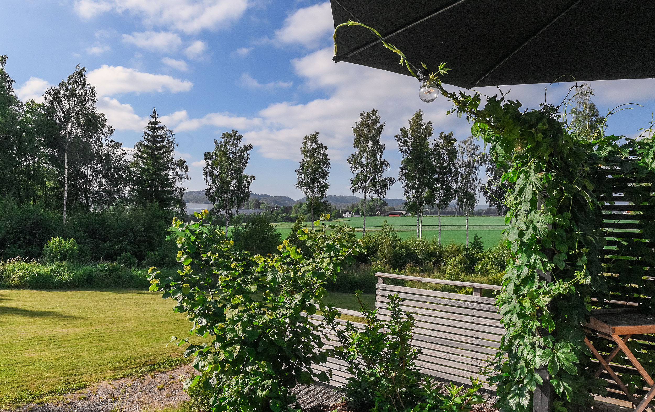 -3-. Family and wedding photographer in Norway Bublik Polina