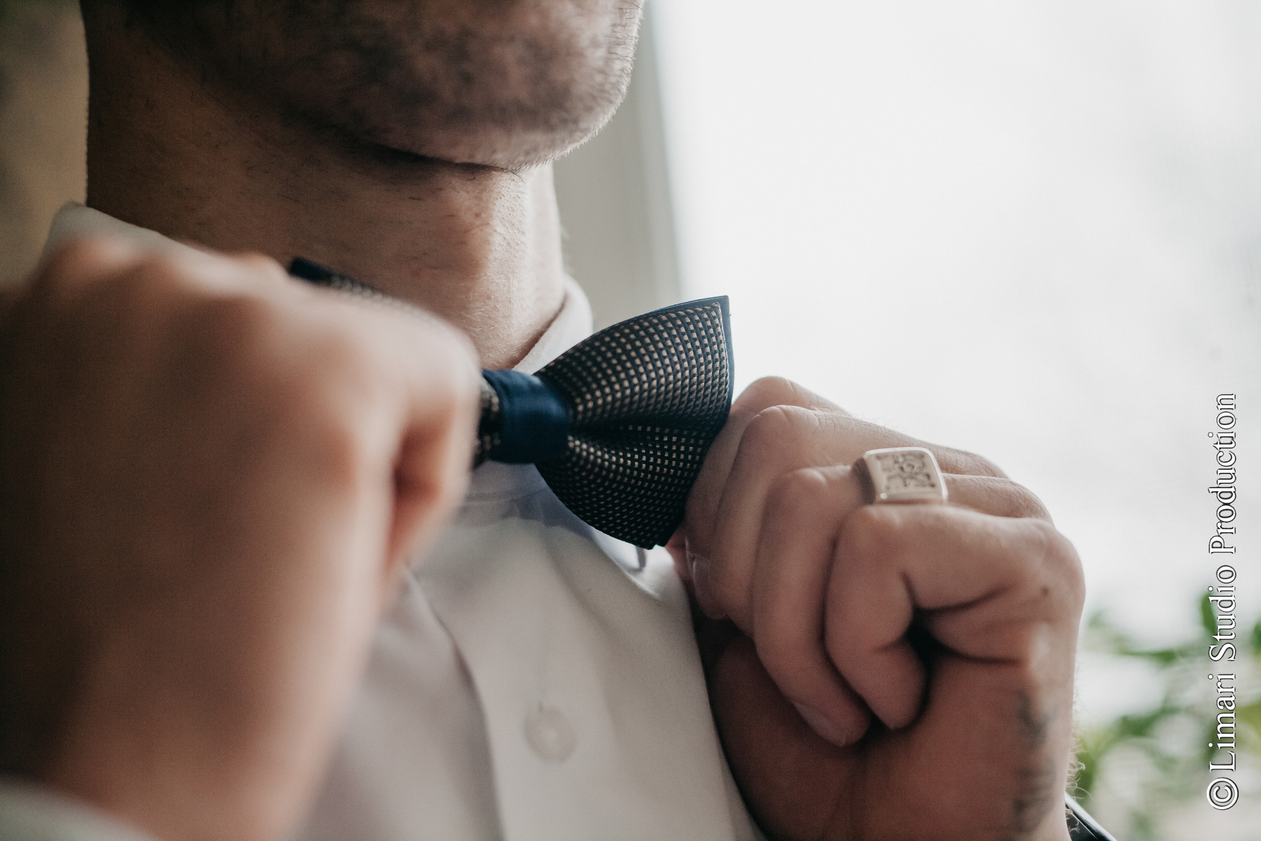 Elena & Leonid. Фото видео в молдове