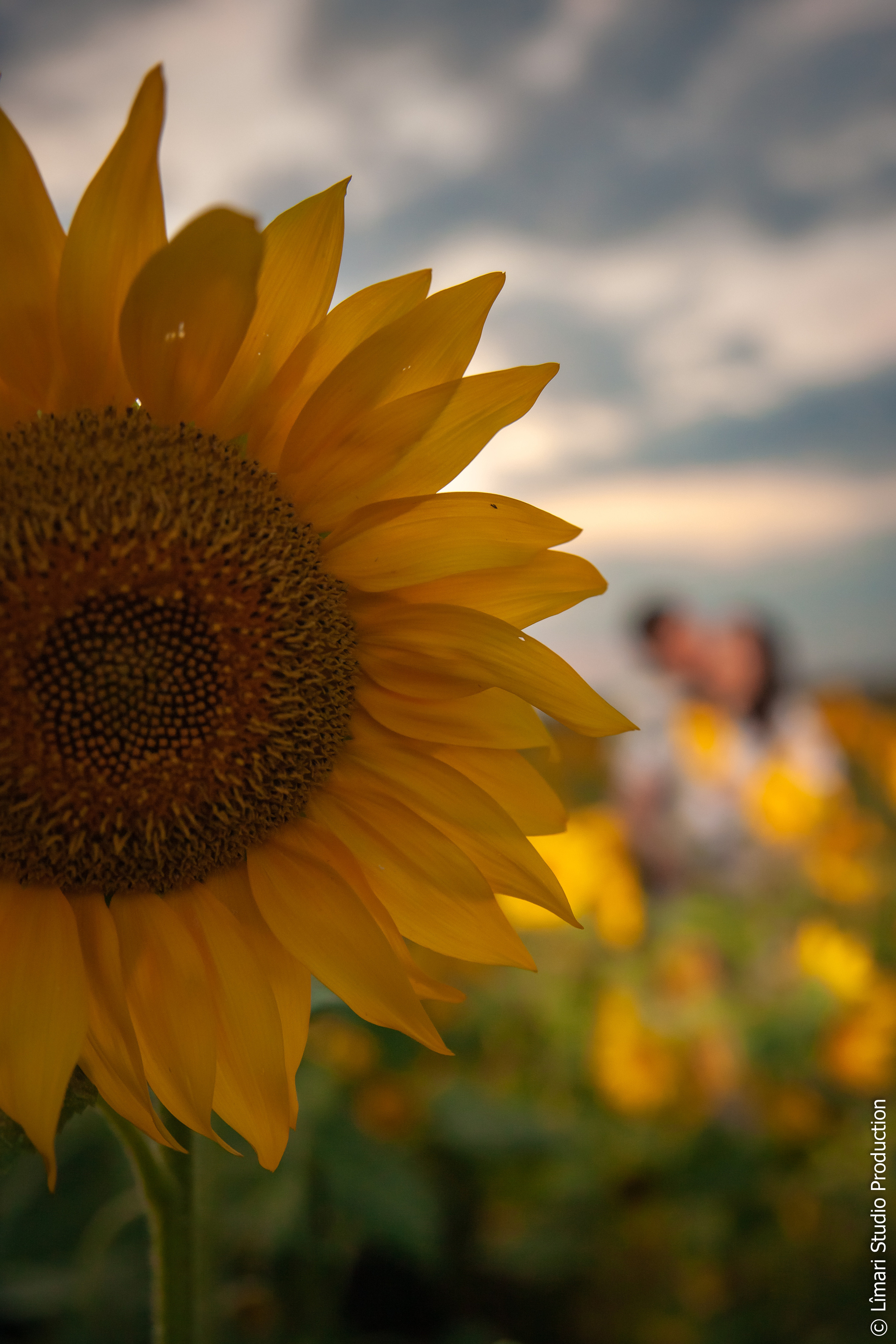 Вита и Борис. В ожидании чуда. Фото видео в молдове