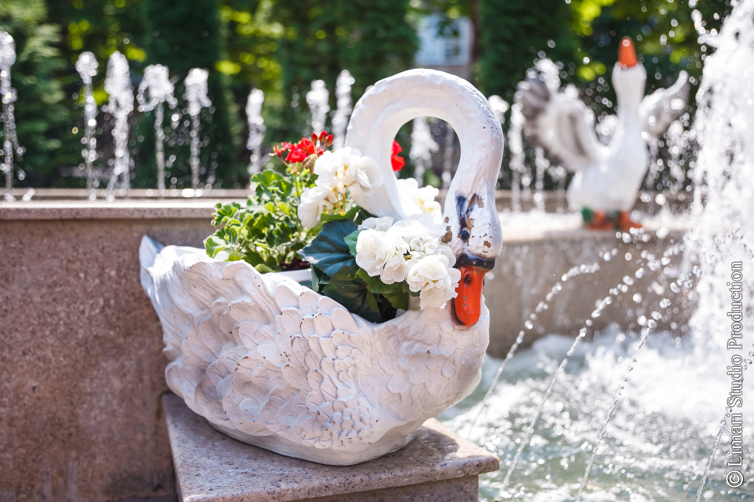 Крестины Глеба. Фото видео в молдове