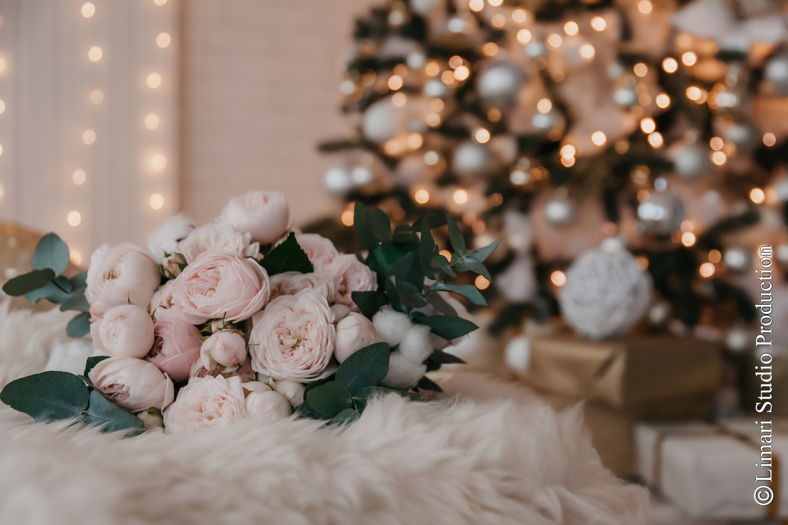 Elena & Leonid. Фото видео в молдове