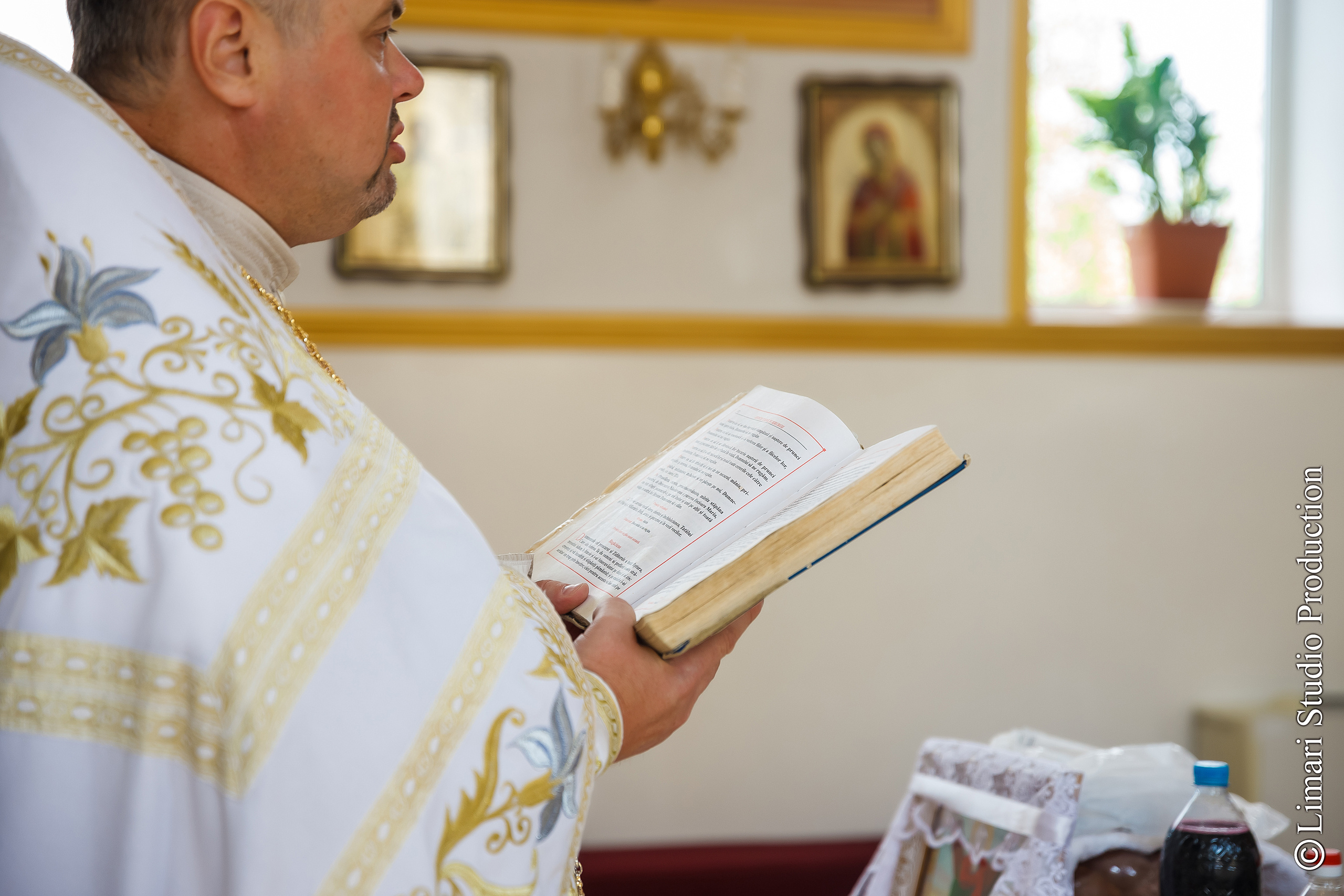 Dana & Andrian. Фото видео в молдове