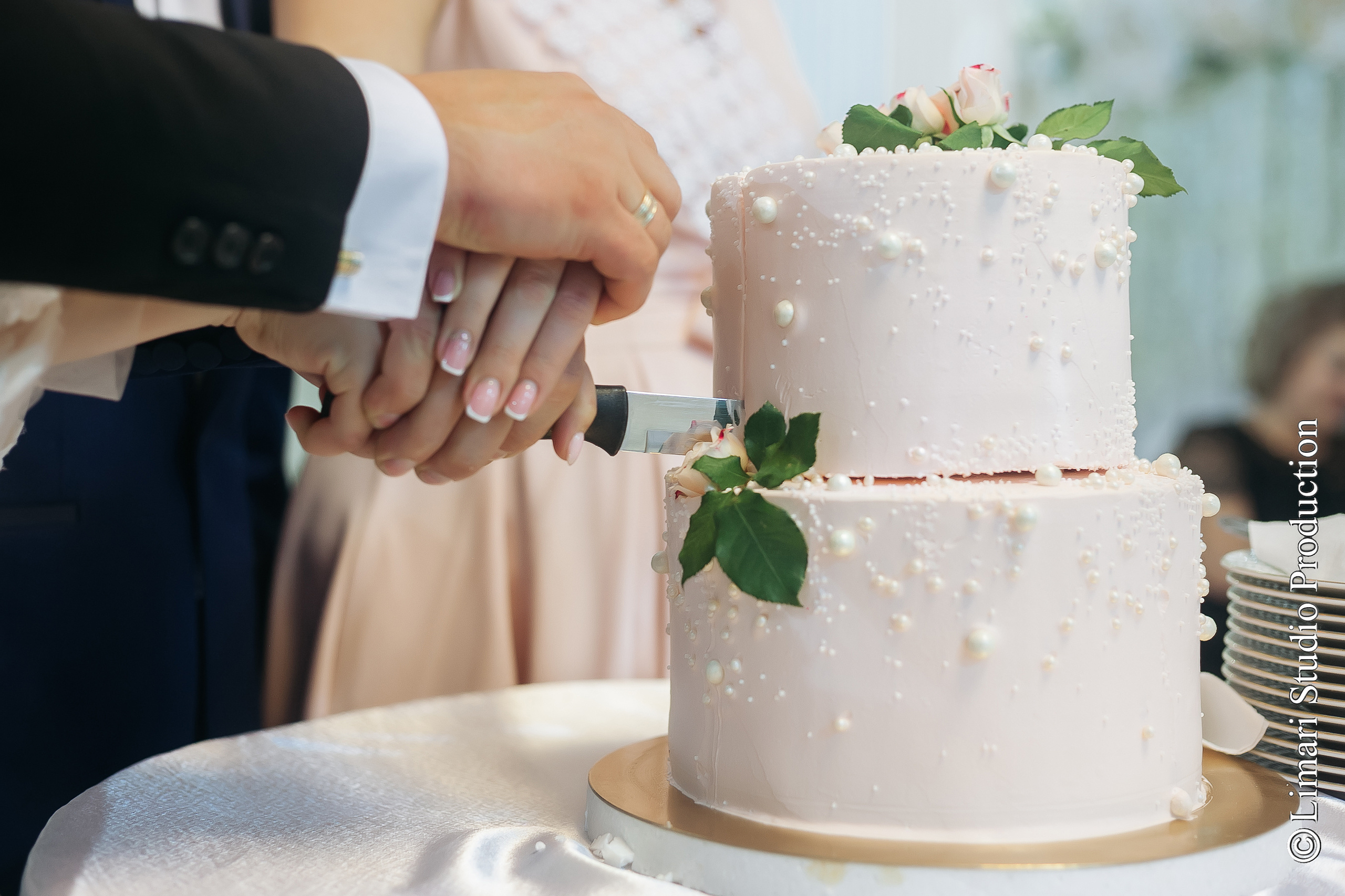 Elena & Leonid. Фото видео в молдове