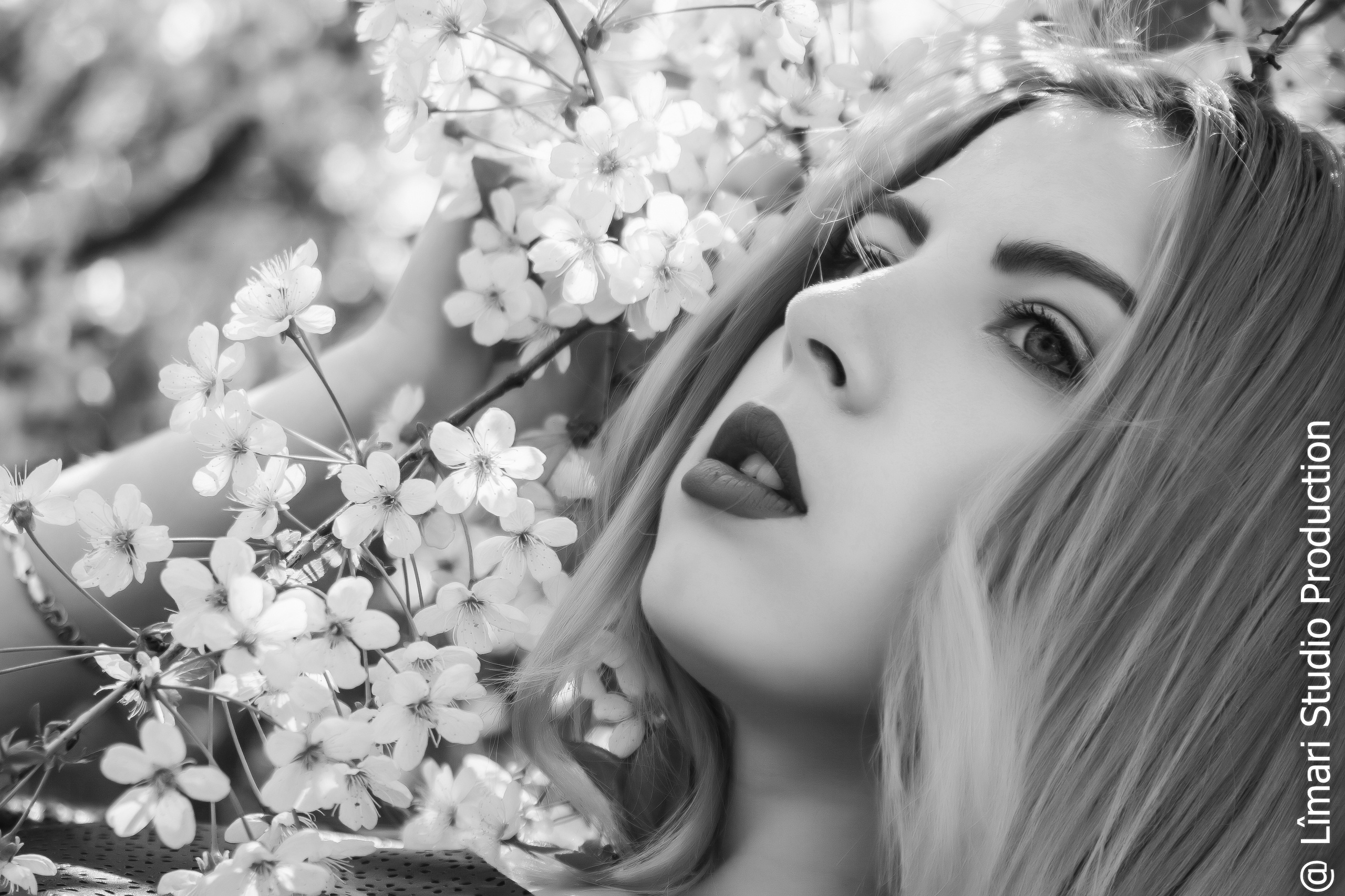 Фотограф молдова. Фото видео в молдове