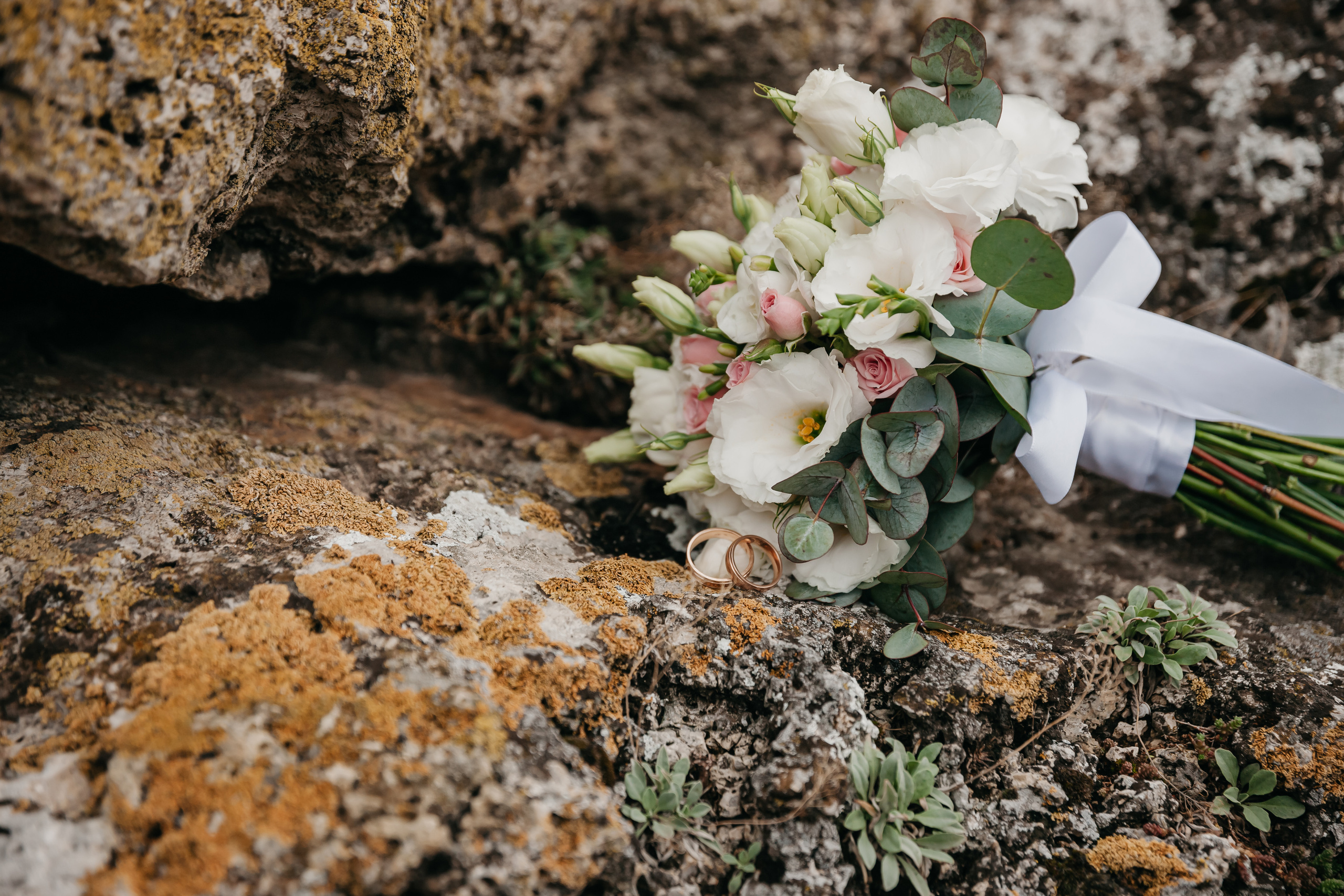 Ilia & Tamara. Фото видео в молдове