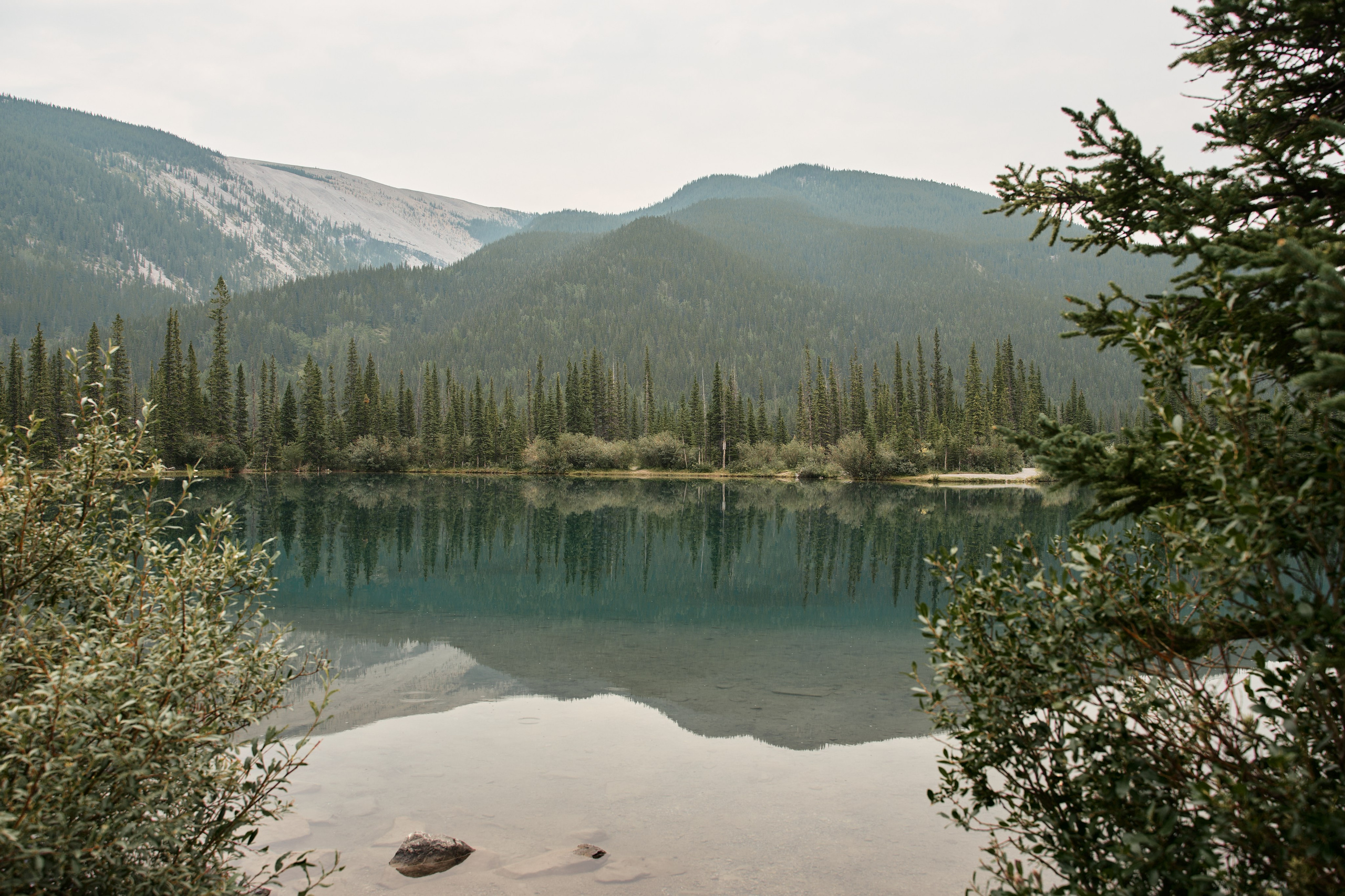 Natalie&Mat. A small, intimate wedding at Forgetmenot Lake, Kananaskis Park. Calgary wedding photo and video. Photographer Andrii Bielikov