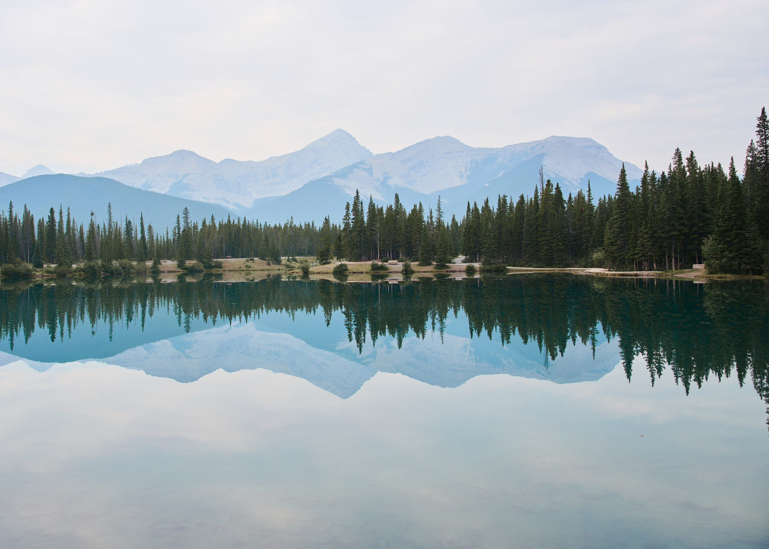 Natalie&Mat. A small, intimate wedding at Forgetmenot Lake, Kananaskis Park. Calgary wedding photo and video. Photographer Andrii Bielikov