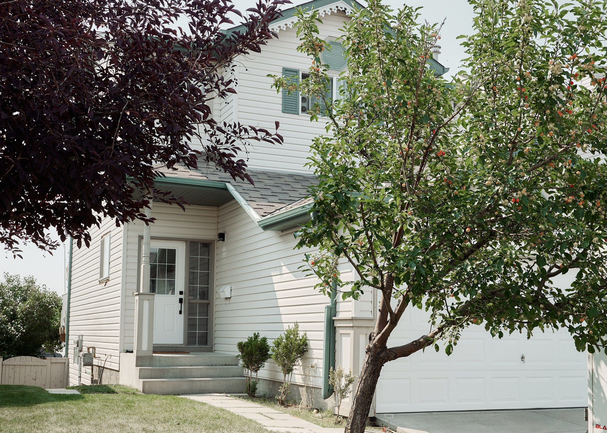 Femi & Jen. Calgary wedding photo and video. Photographer Andrii Bielikov