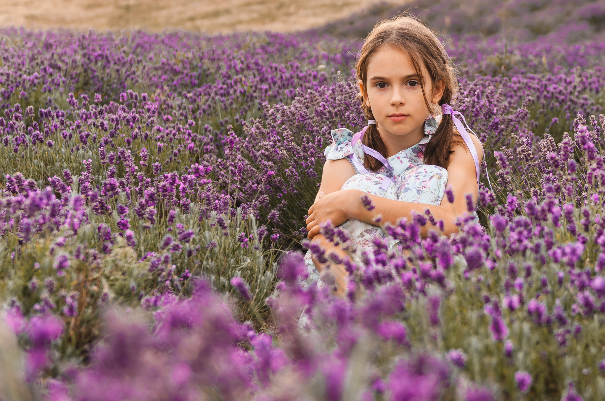 Photoshoot for a large family in the lavender field. Calgary wedding photo and video. Photographer Andrii Bielikov