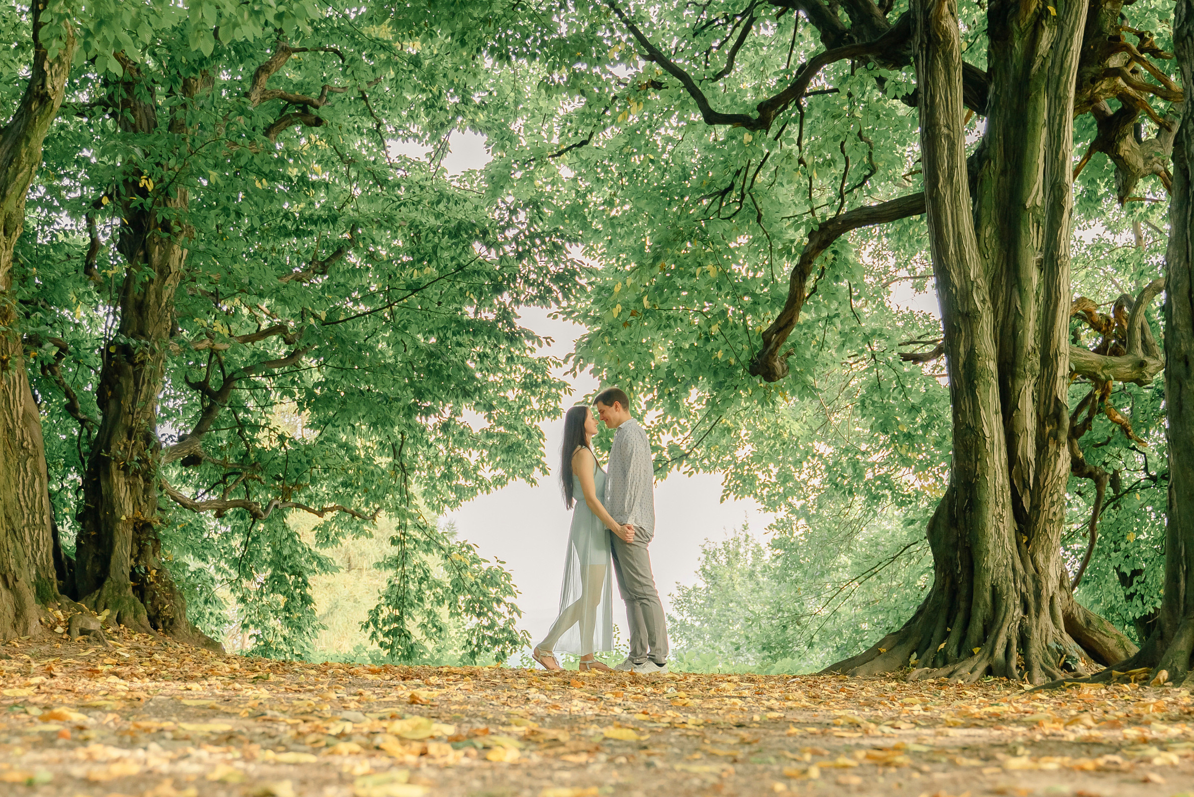 Engagement. Calgary wedding photo and video. Photographer Andrii Bielikov