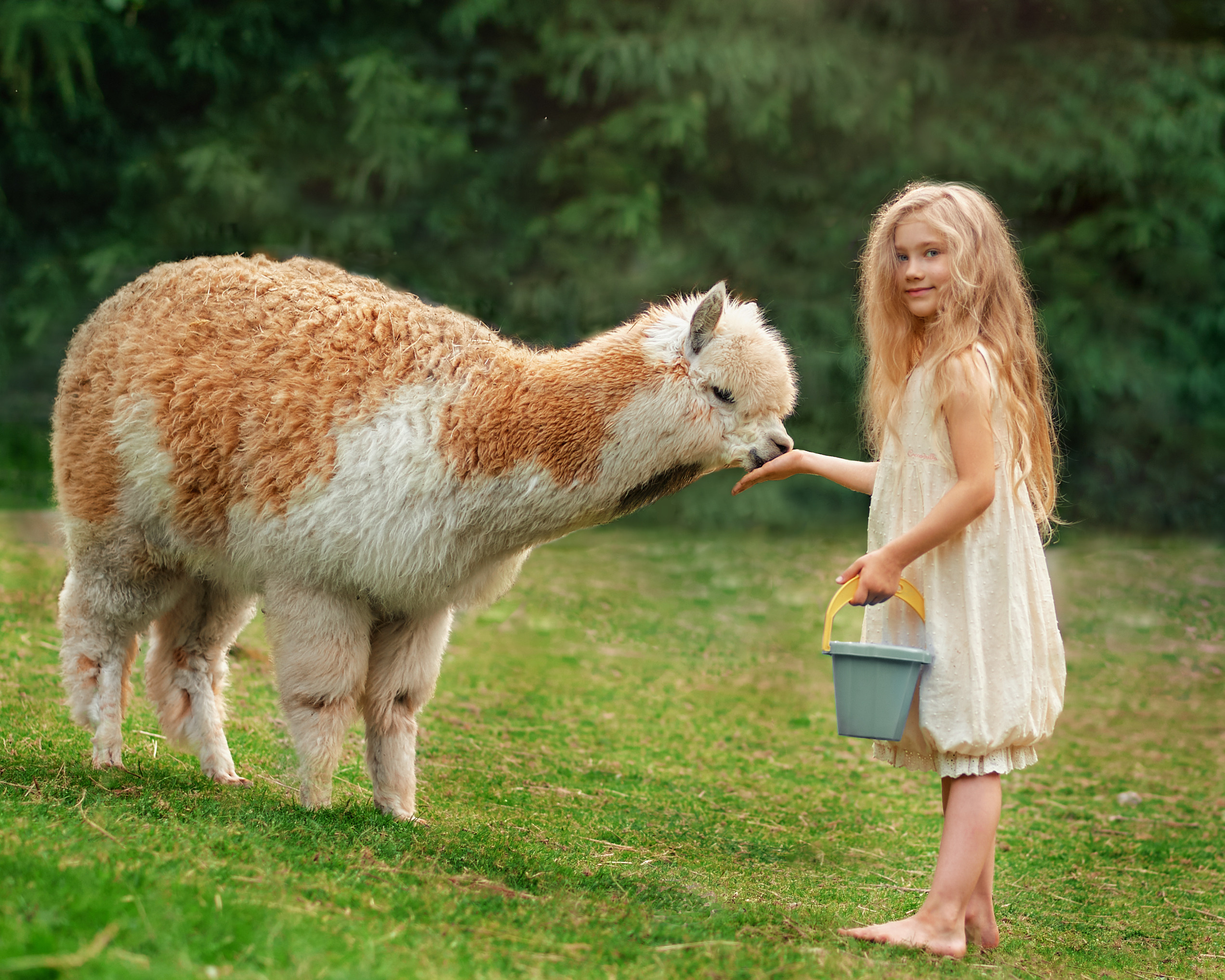 Family photo shoot. Calgary wedding photo and video. Photographer Andrii Bielikov