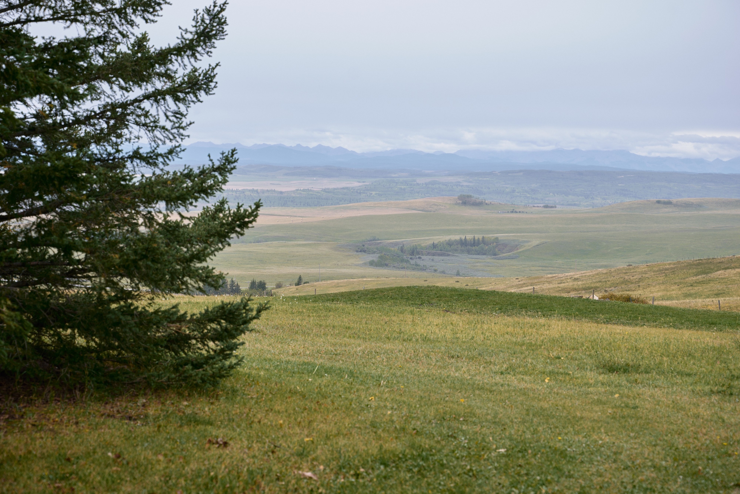 Benjamin&Courtney. Wedding in Kananaskis Park. Calgary wedding photo and video. Photographer Andrii Bielikov