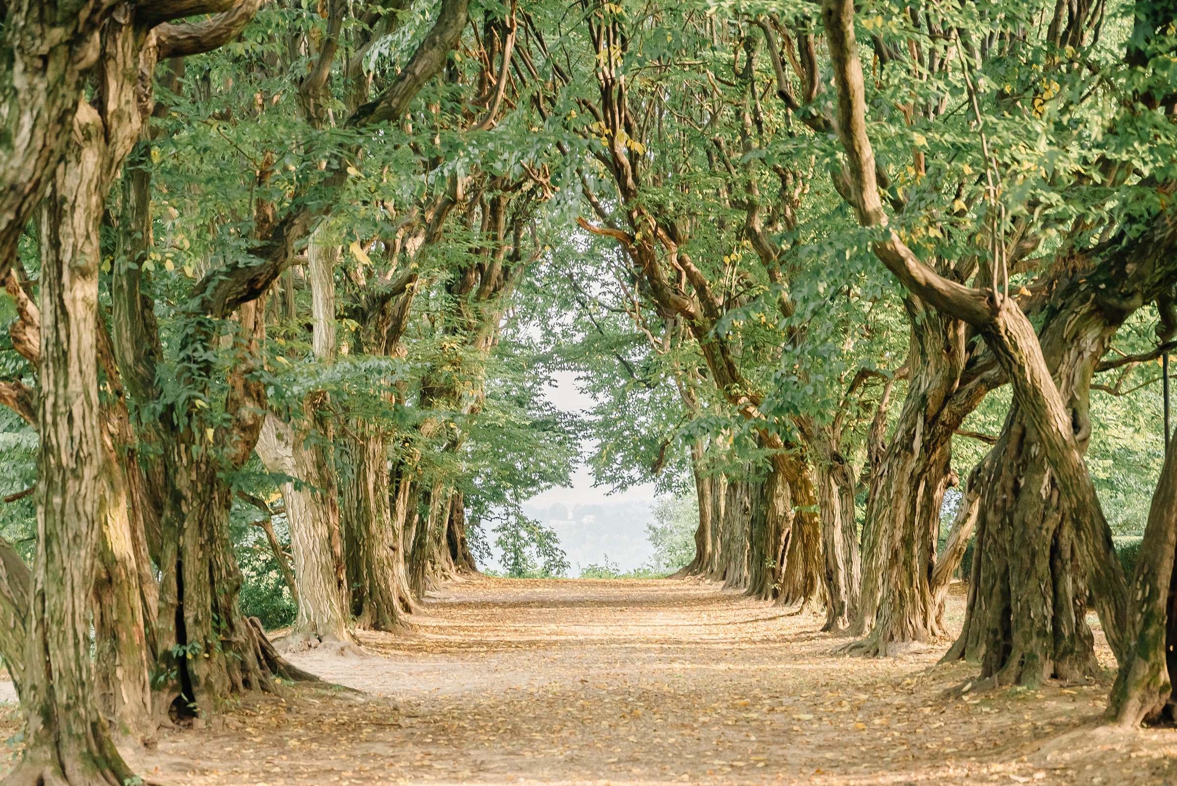 Engagement. Calgary wedding photo and video. Photographer Andrii Bielikov