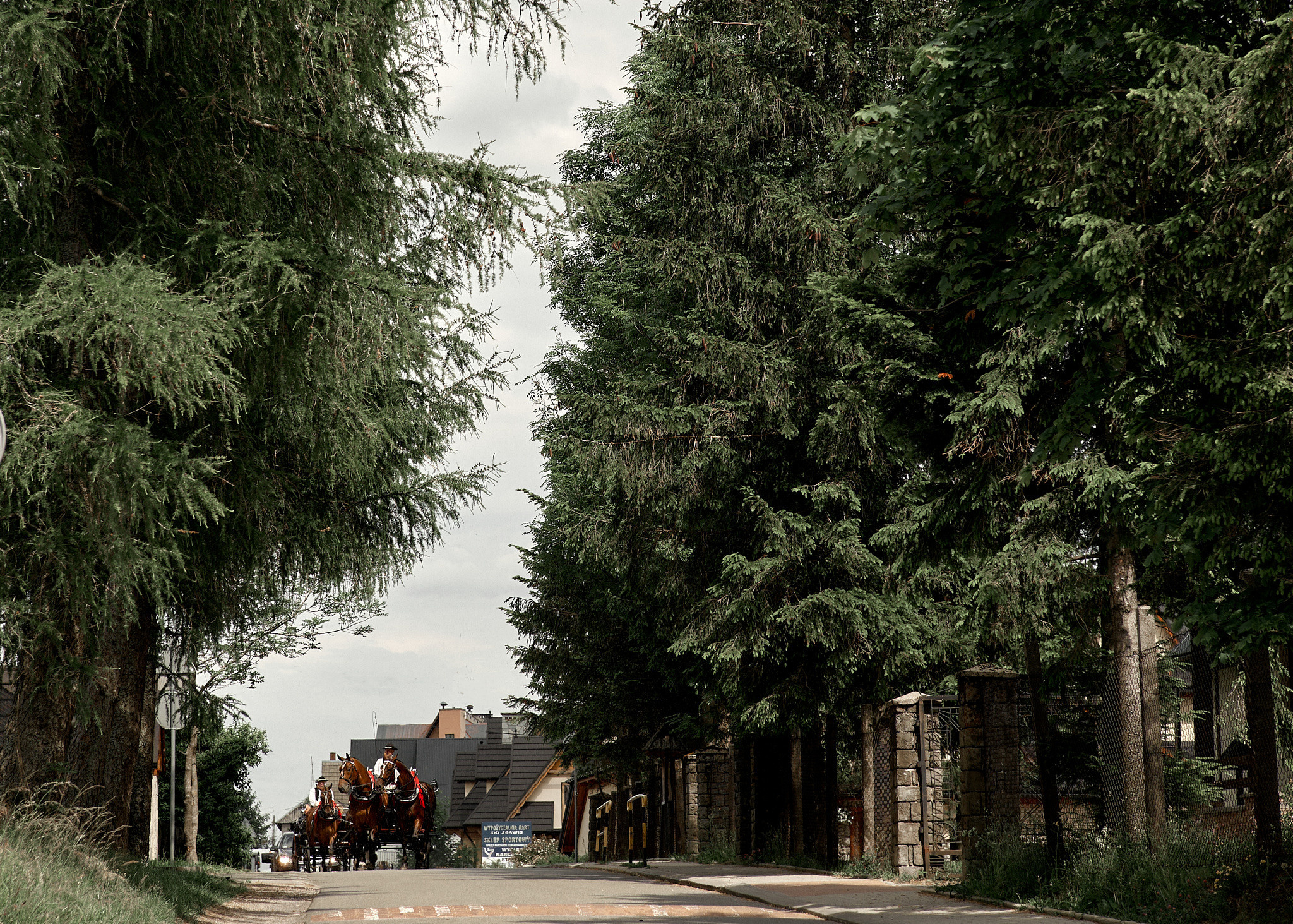 Wedding in mountains. Calgary wedding photo and video. Photographer Andrii Bielikov