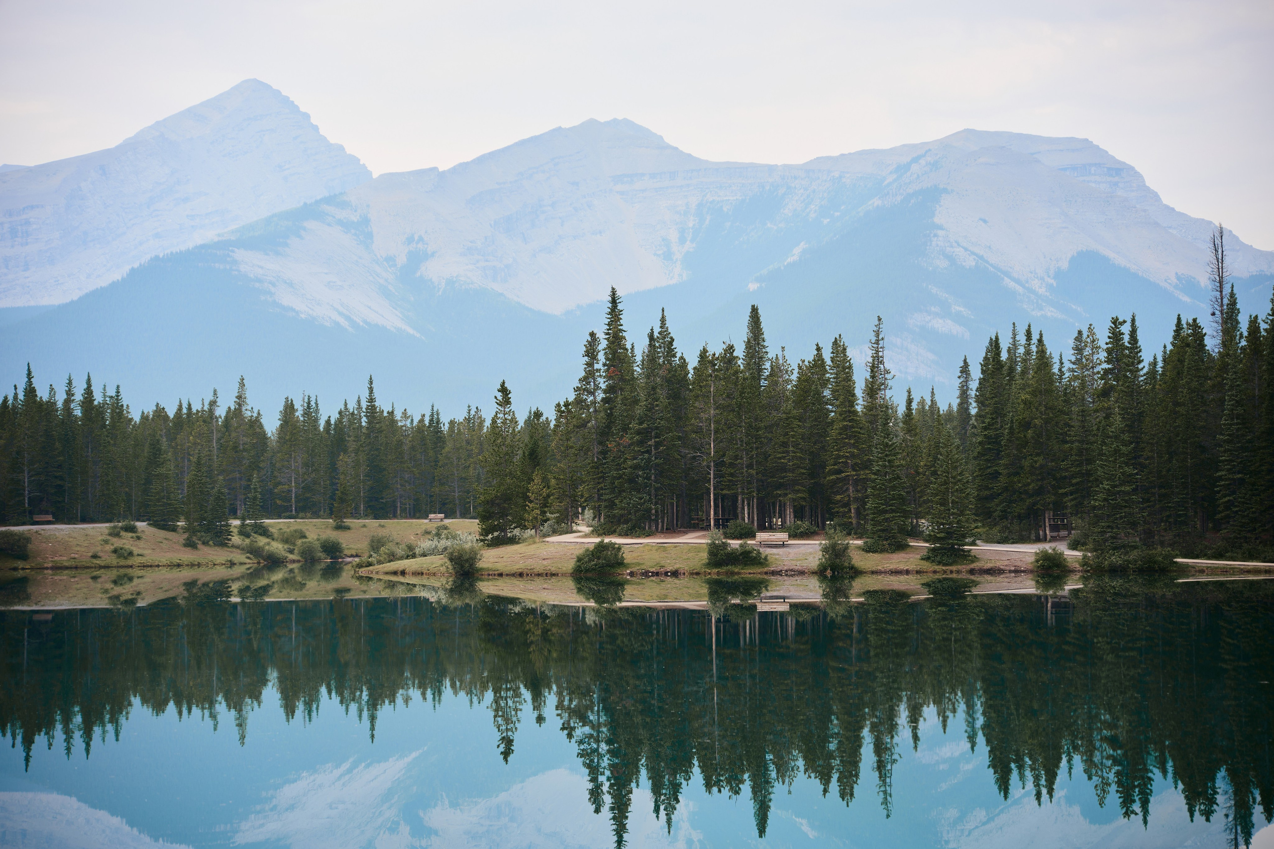 Natalie&Mat. A small, intimate wedding at Forgetmenot Lake, Kananaskis Park. Calgary wedding photo and video. Photographer Andrii Bielikov