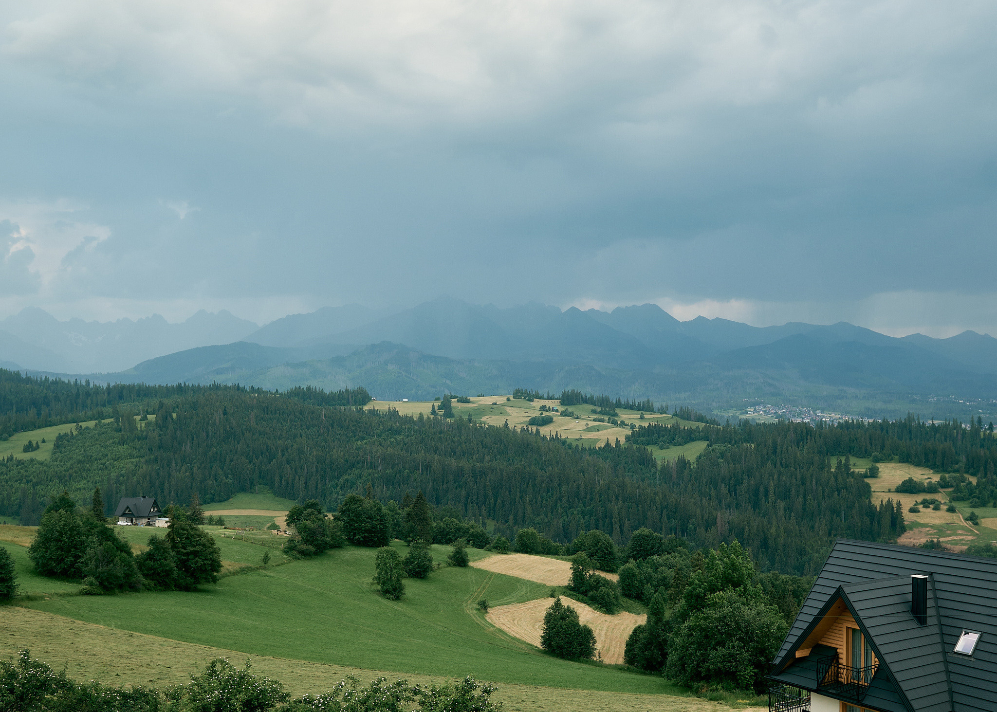 Wedding in mountains. Calgary wedding photo and video. Photographer Andrii Bielikov