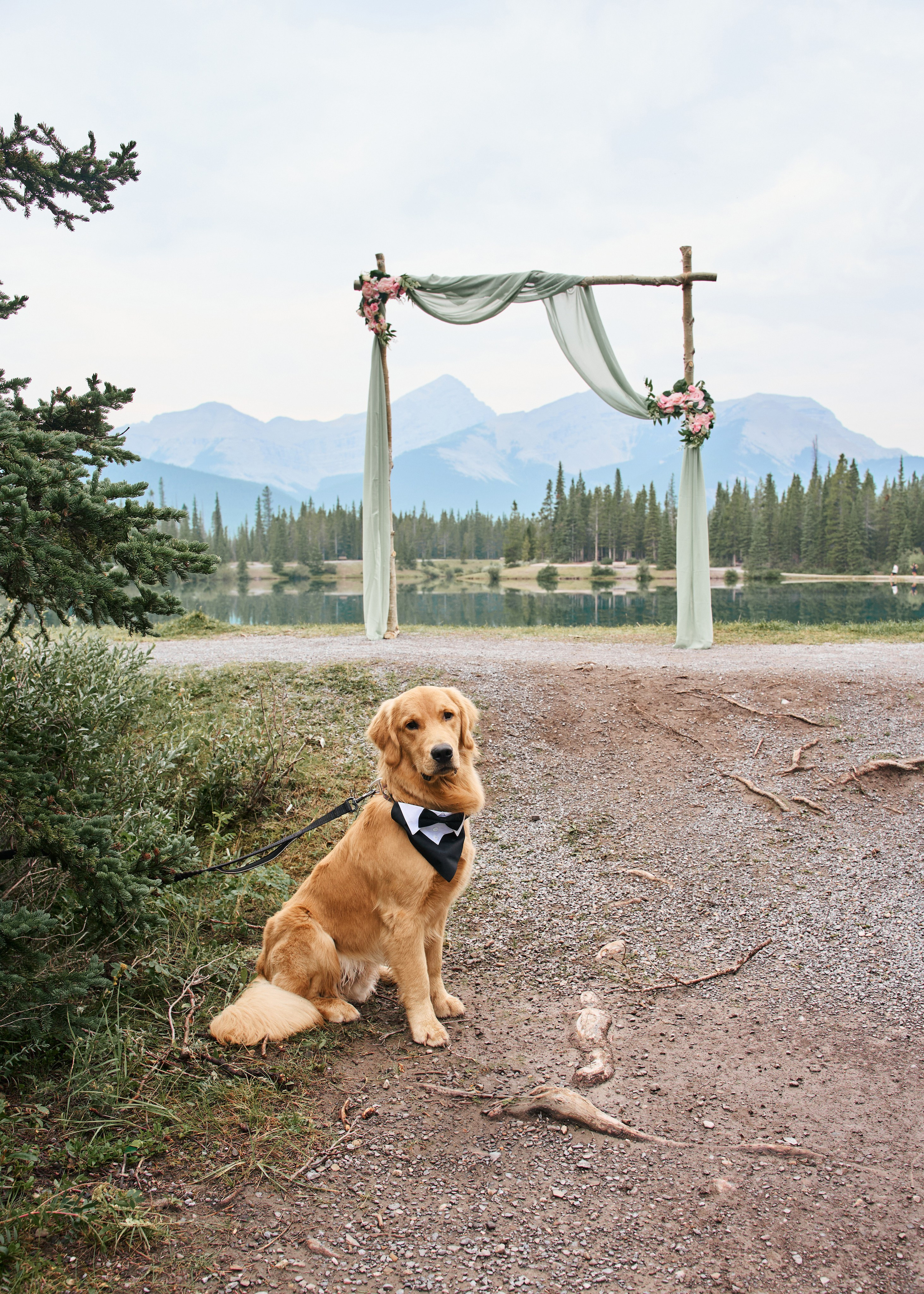 Natalie&Mat. A small, intimate wedding at Forgetmenot Lake, Kananaskis Park. Calgary wedding photo and video. Photographer Andrii Bielikov