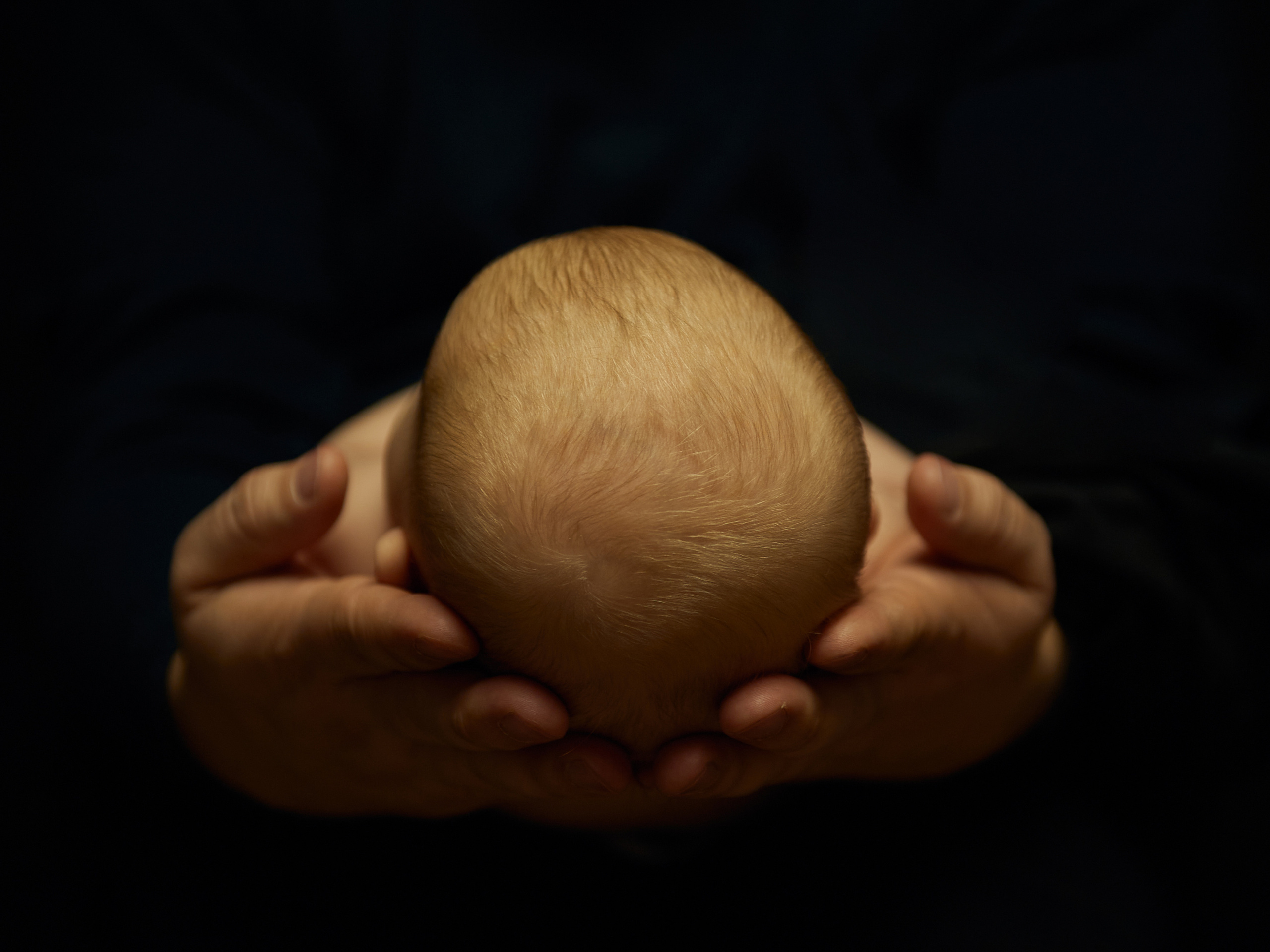 Family photo shoot. Calgary wedding photo and video. Photographer Andrii Bielikov
