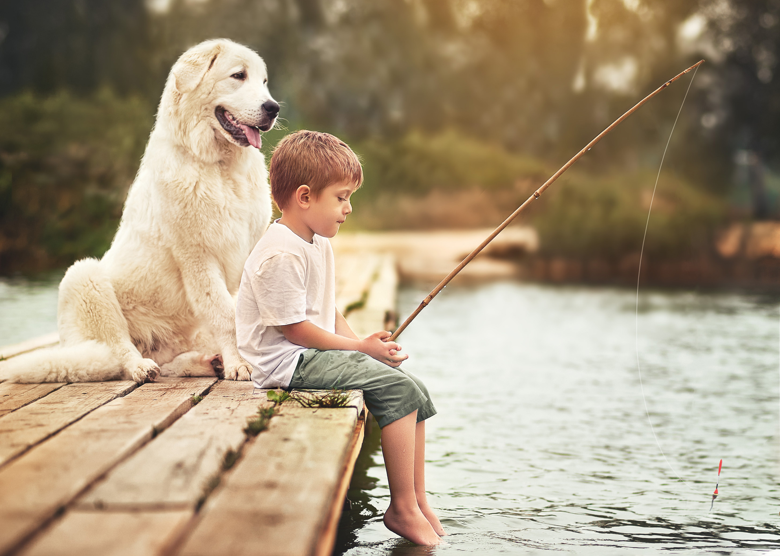 Family photo shoot. Calgary wedding photo and video. Photographer Andrii Bielikov