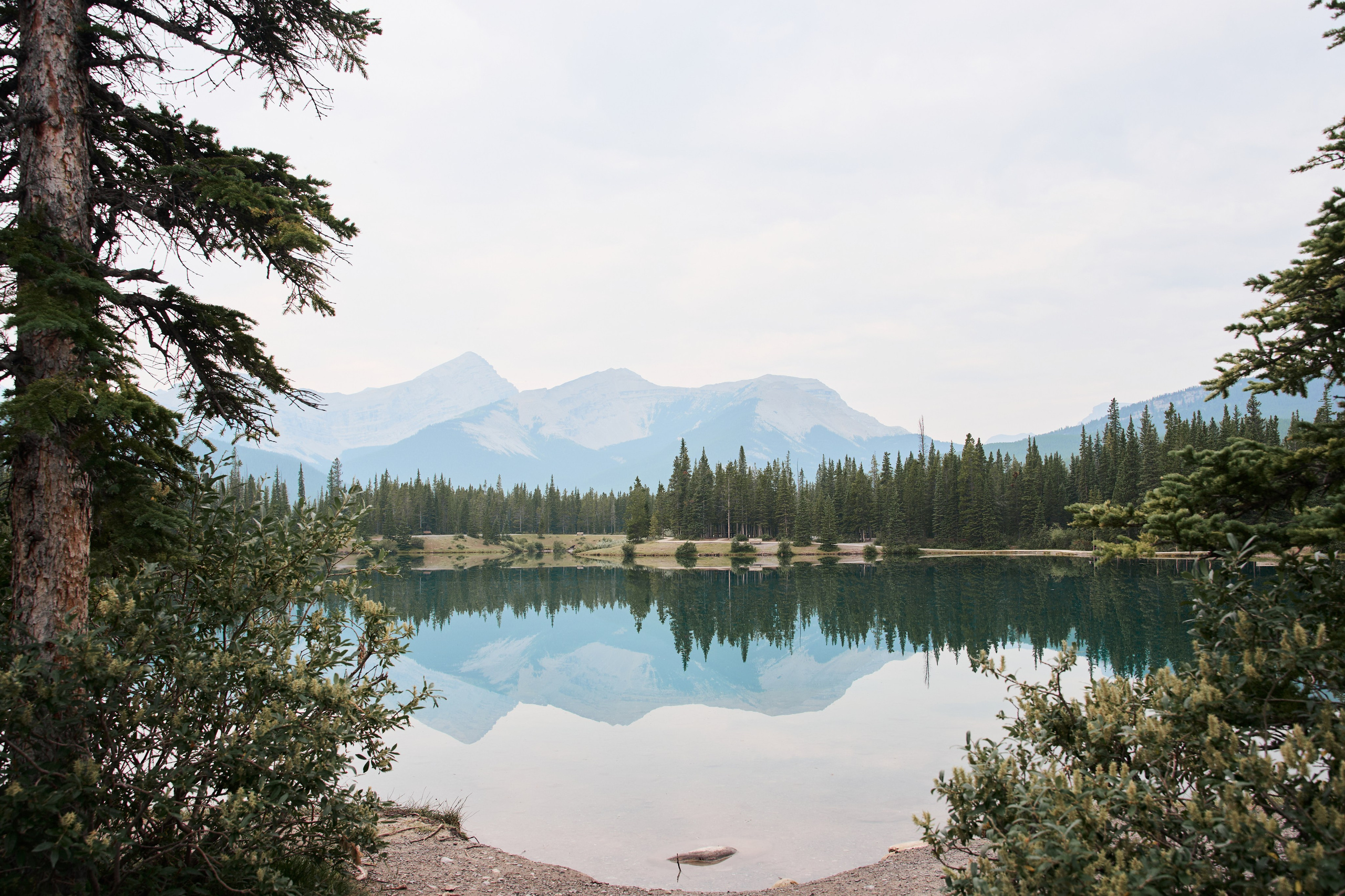 Natalie&Mat. A small, intimate wedding at Forgetmenot Lake, Kananaskis Park. Calgary wedding photo and video. Photographer Andrii Bielikov