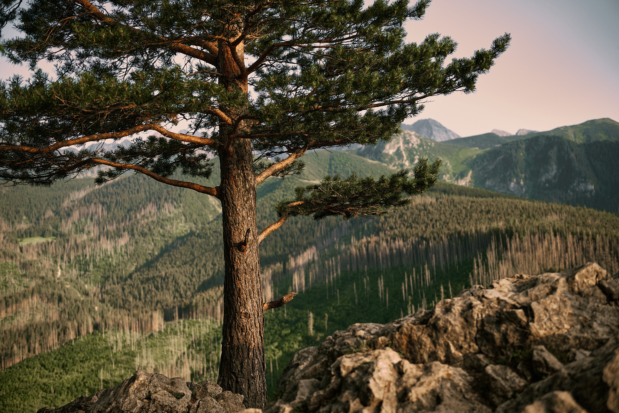 Wedding in mountains. Calgary wedding photo and video. Photographer Andrii Bielikov