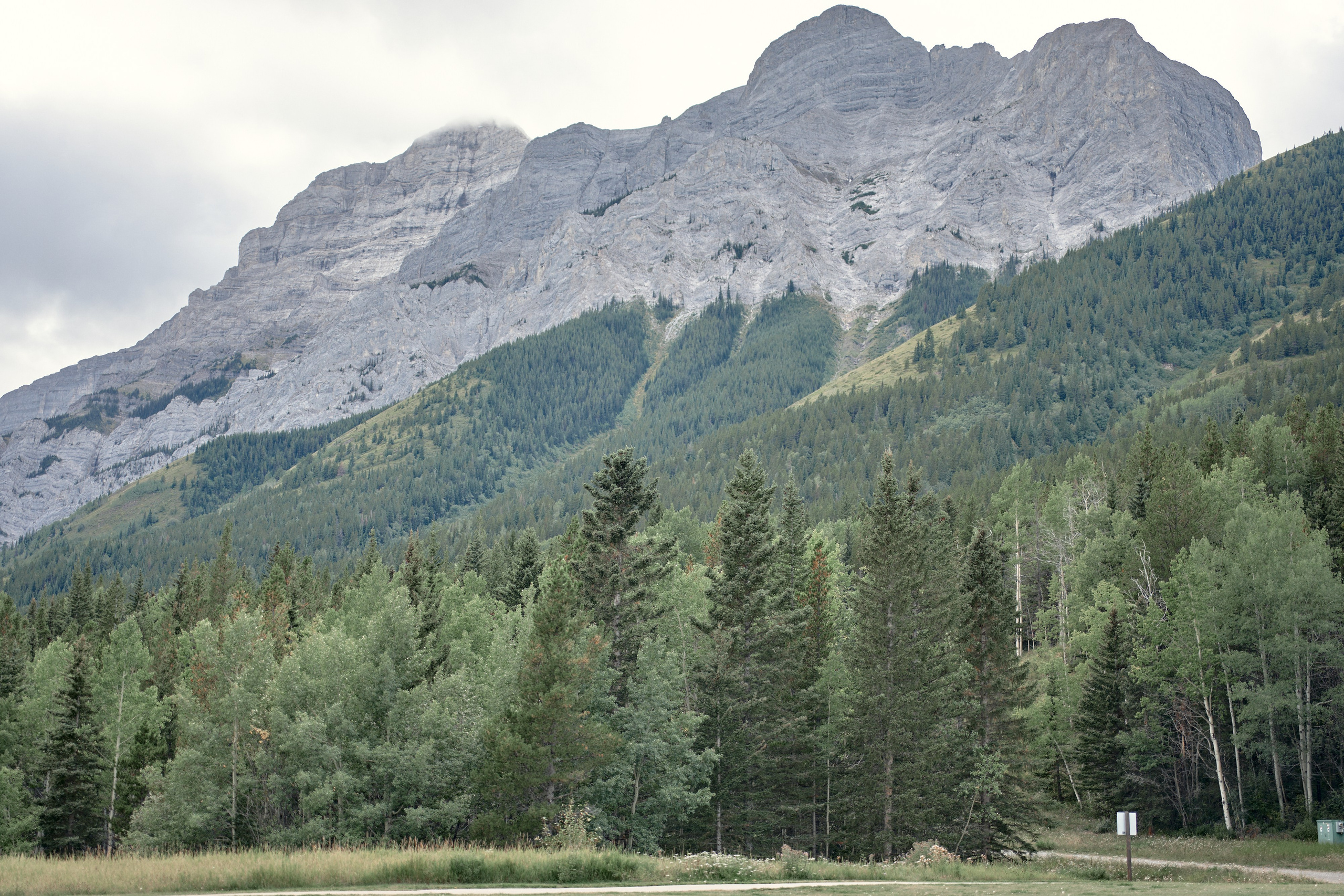 Benjamin&Courtney. Wedding in Kananaskis Park. Calgary wedding photo and video. Photographer Andrii Bielikov
