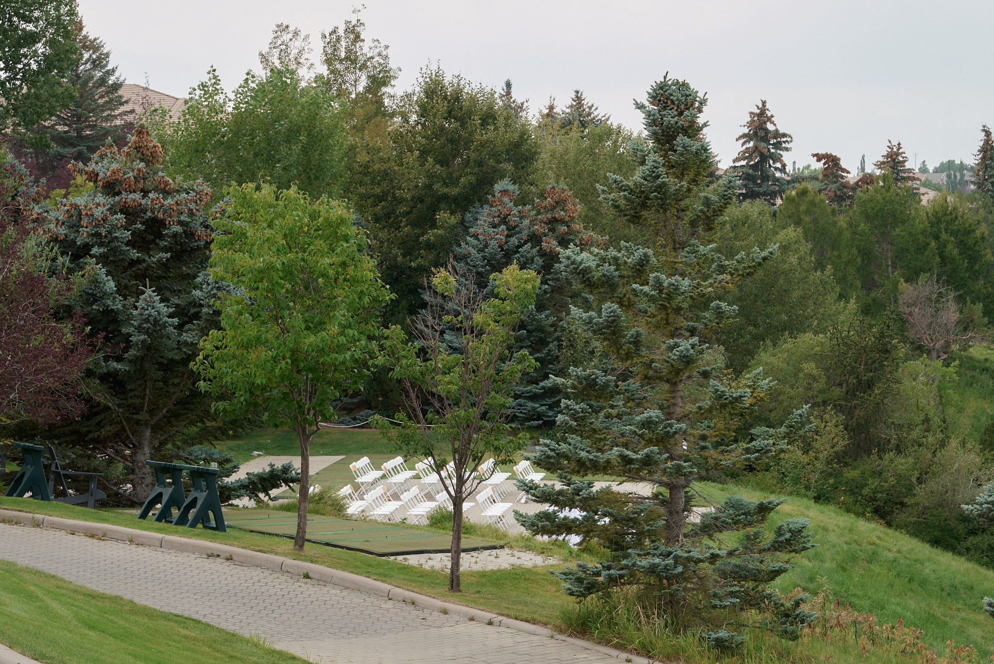Femi & Jen. Calgary wedding photo and video. Photographer Andrii Bielikov