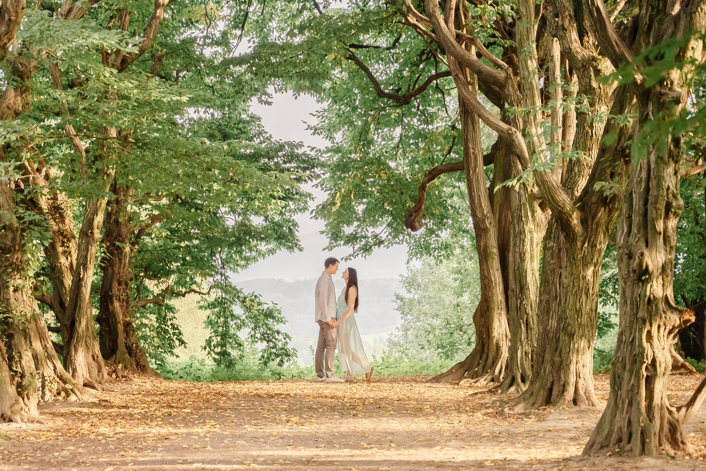 Engagement. Calgary wedding photo and video. Photographer Andrii Bielikov