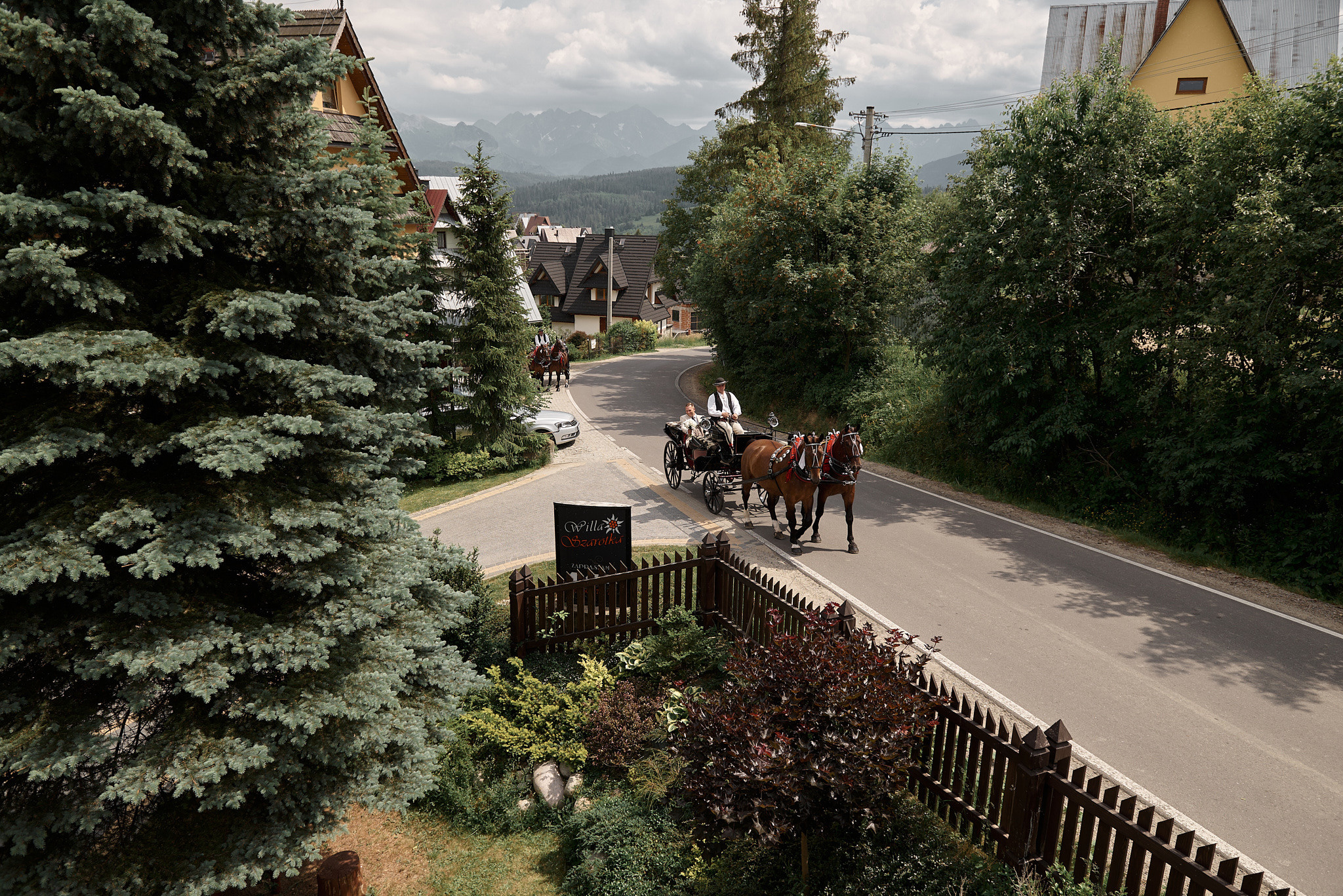 Wedding in mountains. Calgary wedding photo and video. Photographer Andrii Bielikov