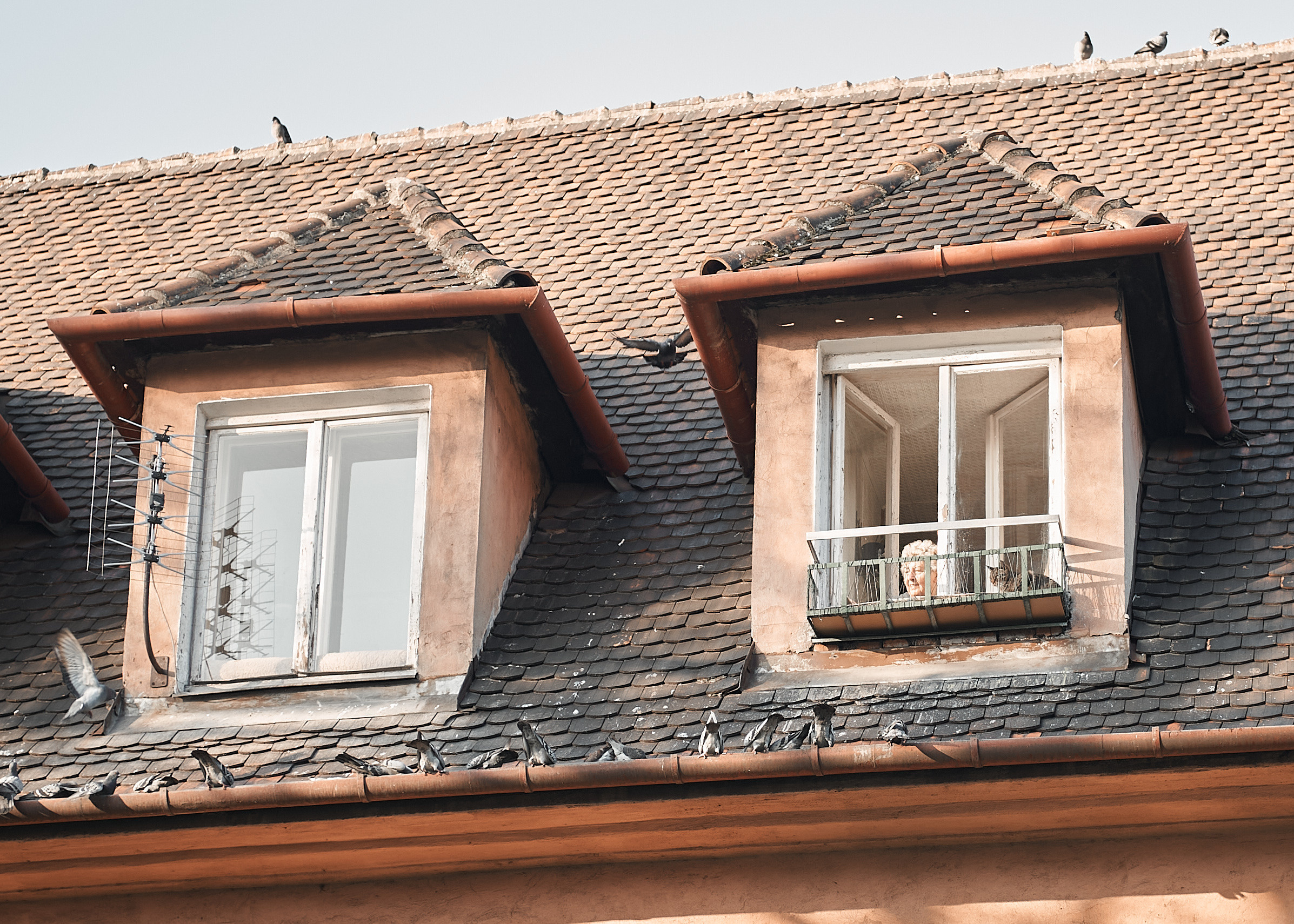 Wedding in the church. Calgary wedding photo and video. Photographer Andrii Bielikov