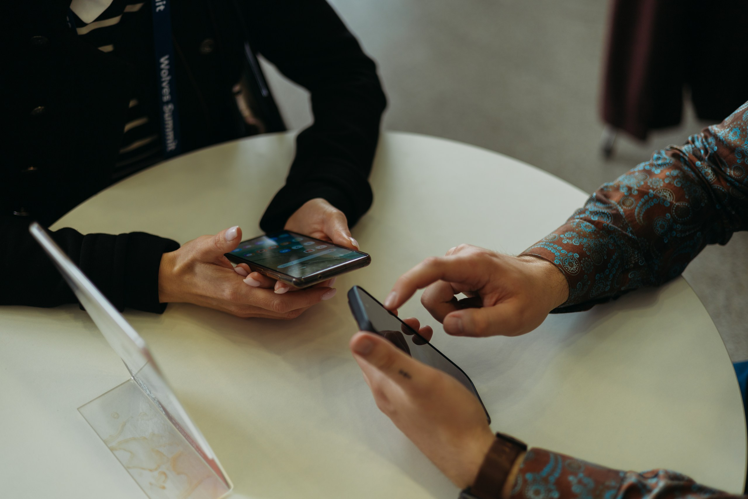 Wolves Summit. Fotograf Vika Saroka