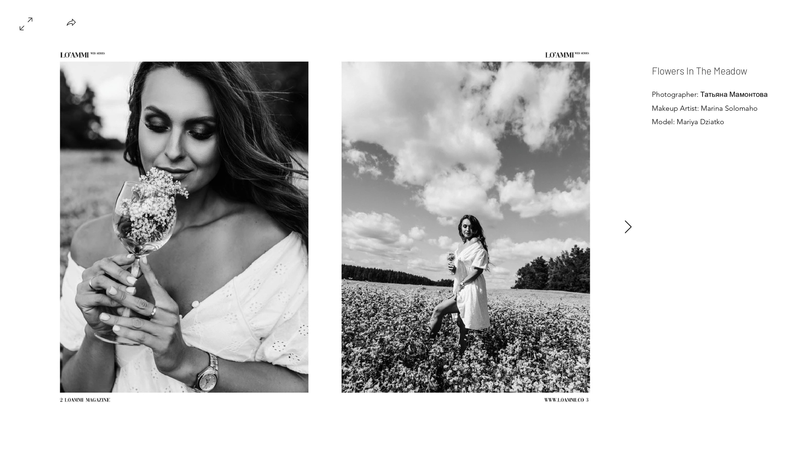 LO’AMMI!. Wedding and family photographer