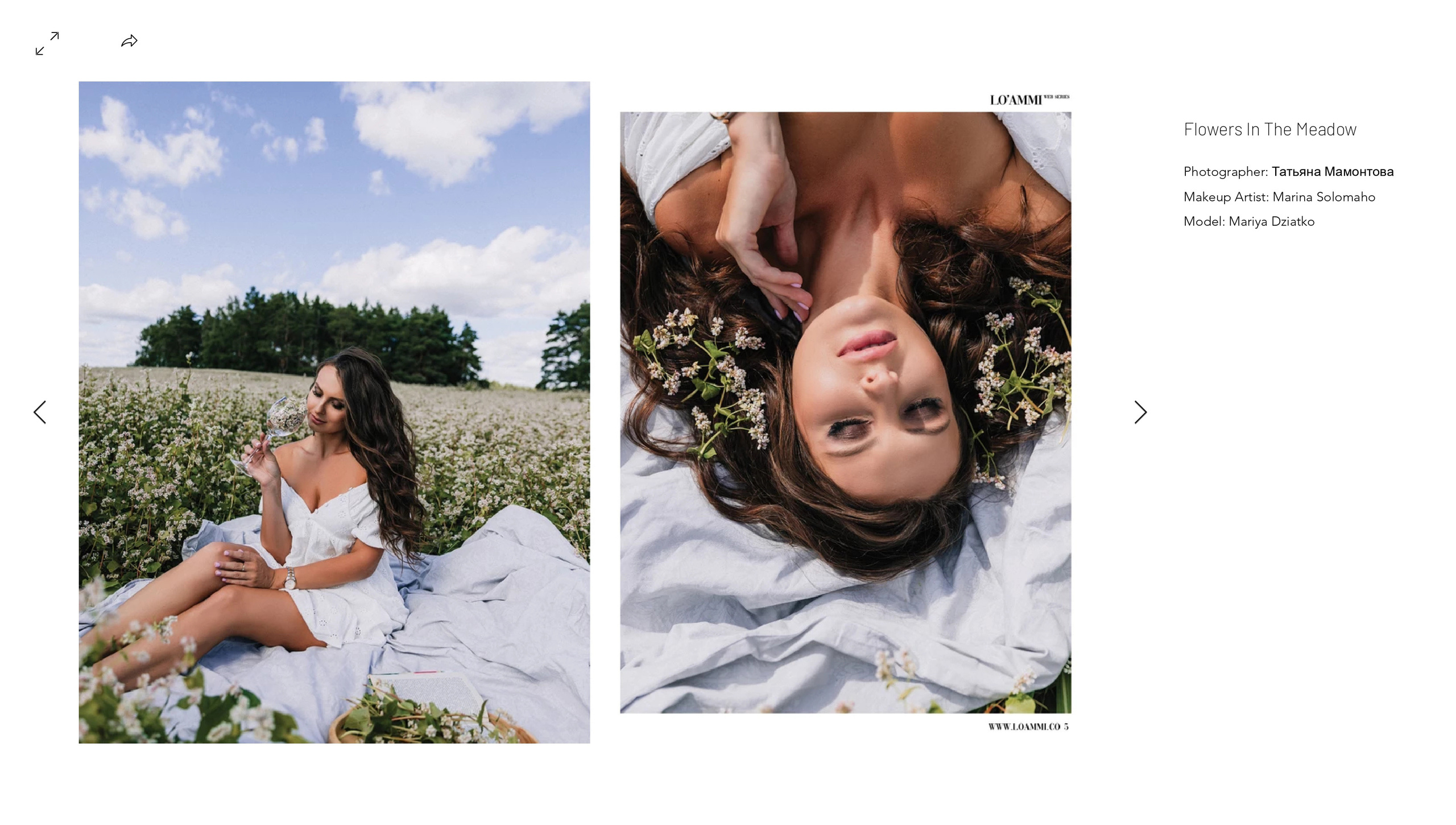 LO’AMMI!. Wedding and family photographer