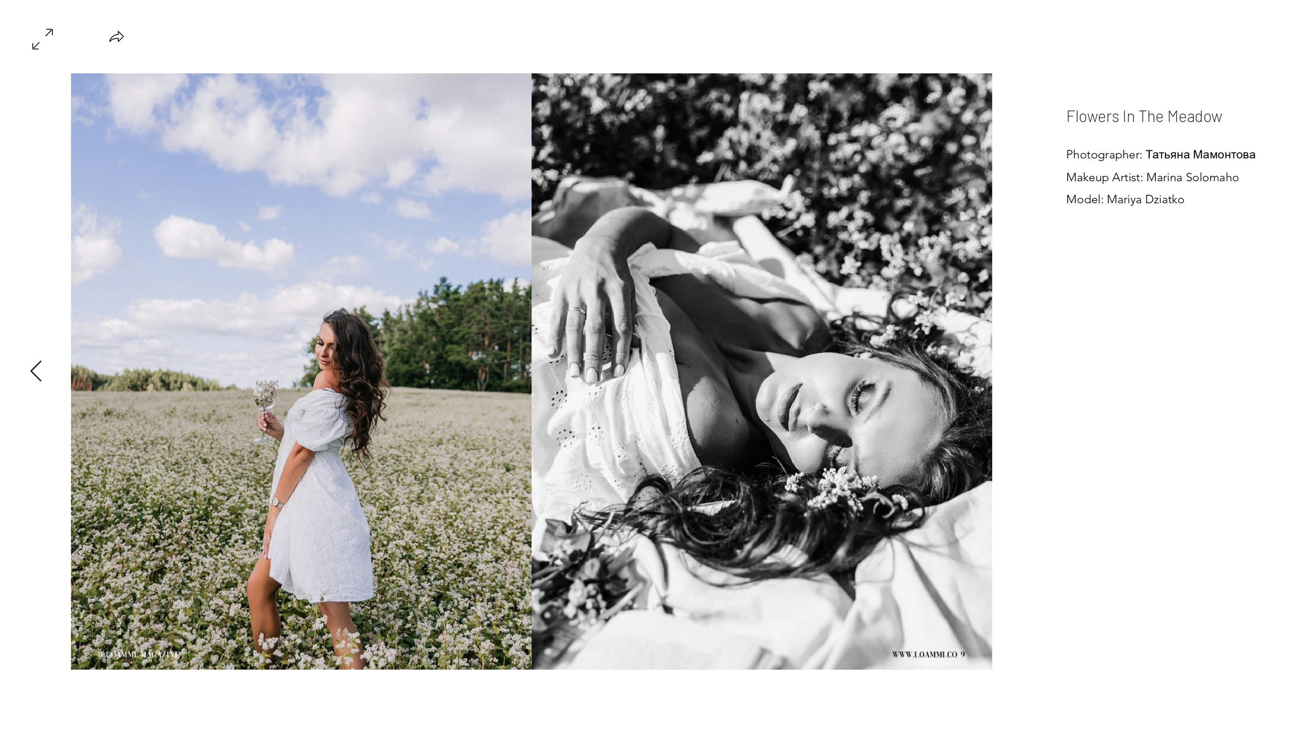 LO’AMMI!. Wedding and family photographer