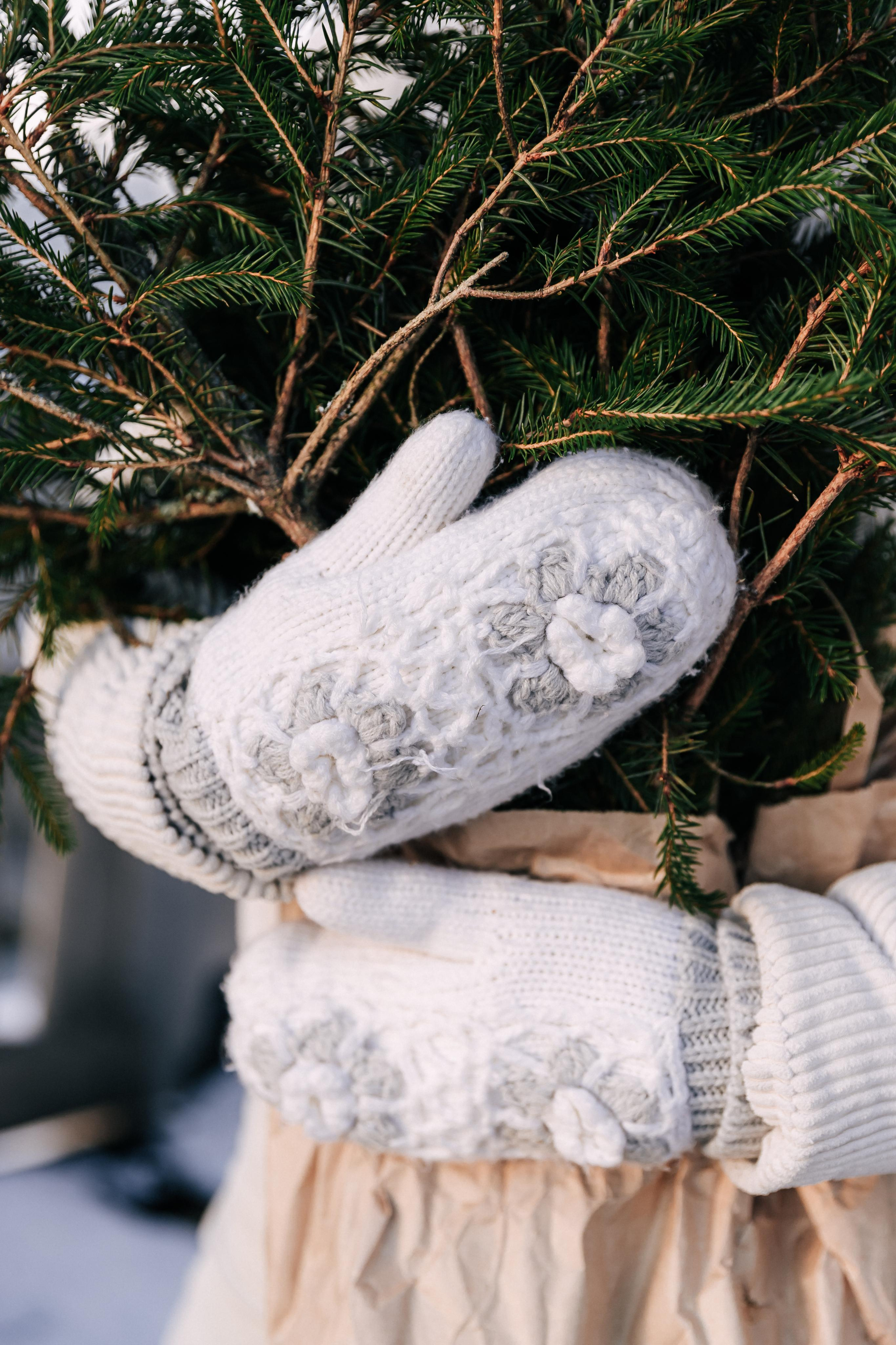 A winter fairy tale in the city center. Wedding and family photographer