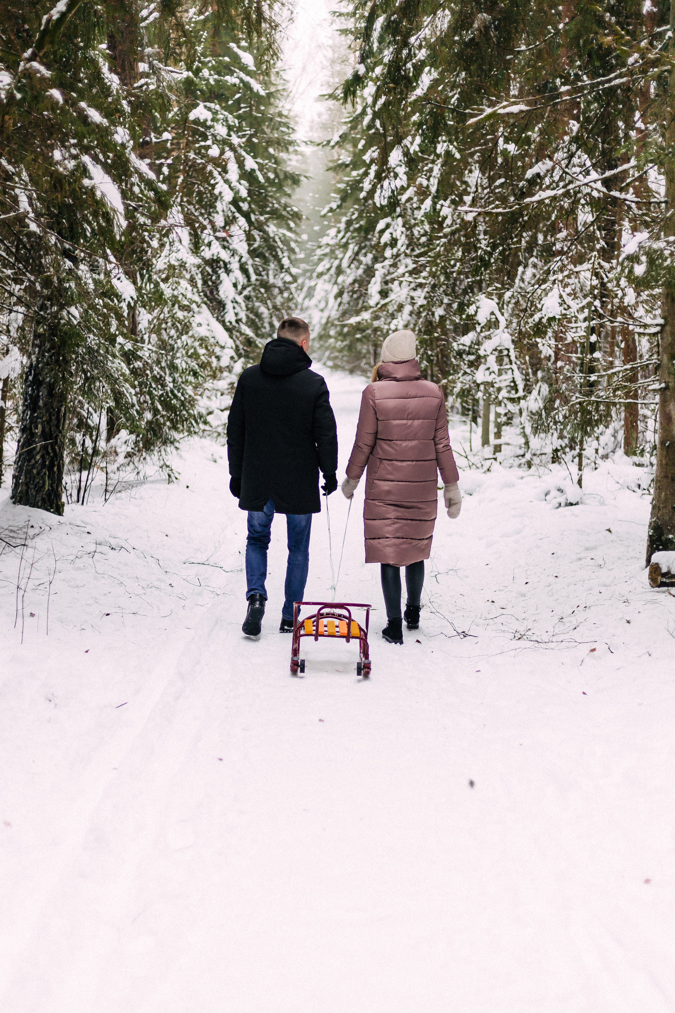 The forest story of Veronica and Sasha. Wedding and family photographer