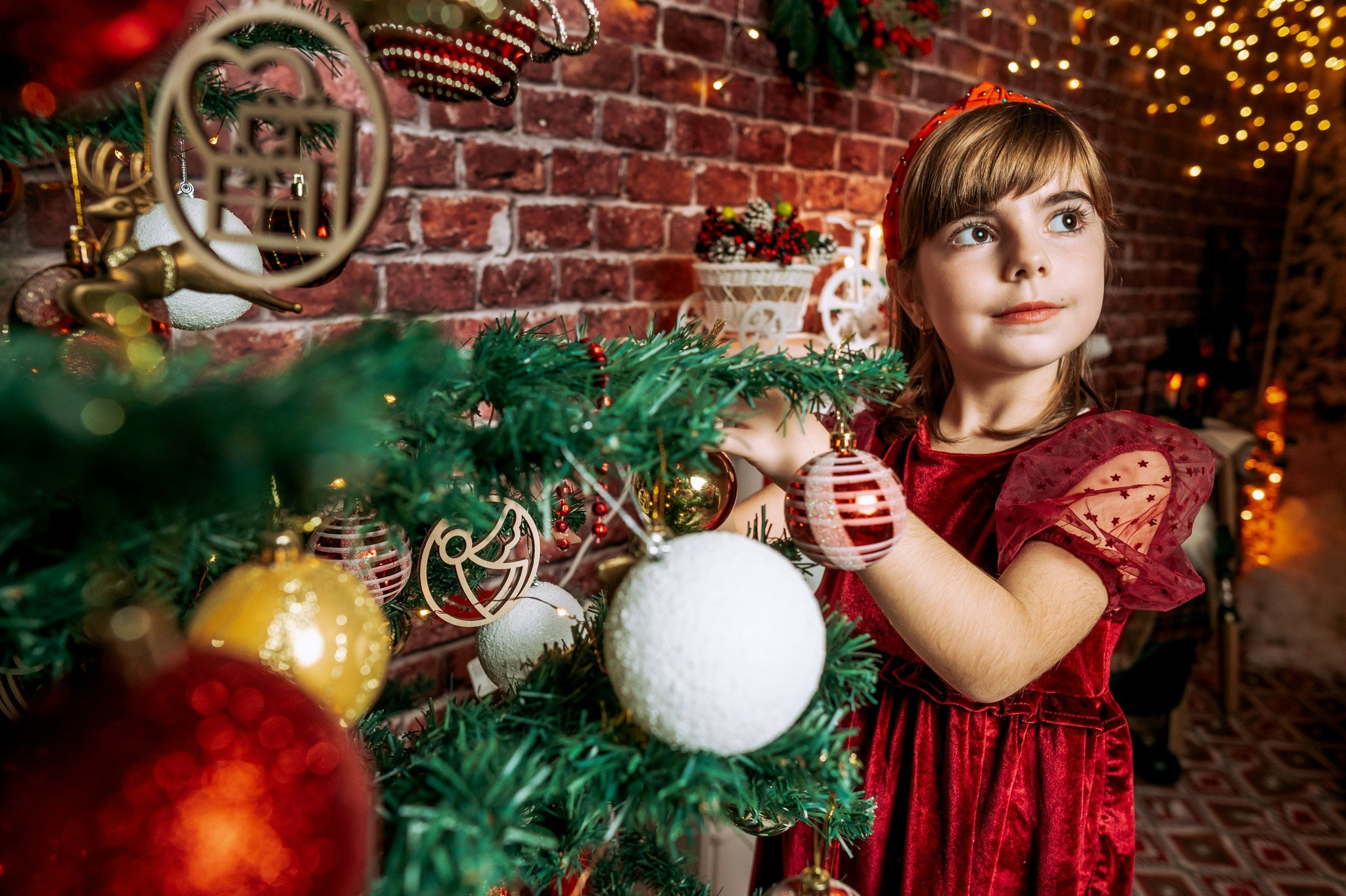 Crăciun. MGA STUDIO ART — Fotograf evenimente