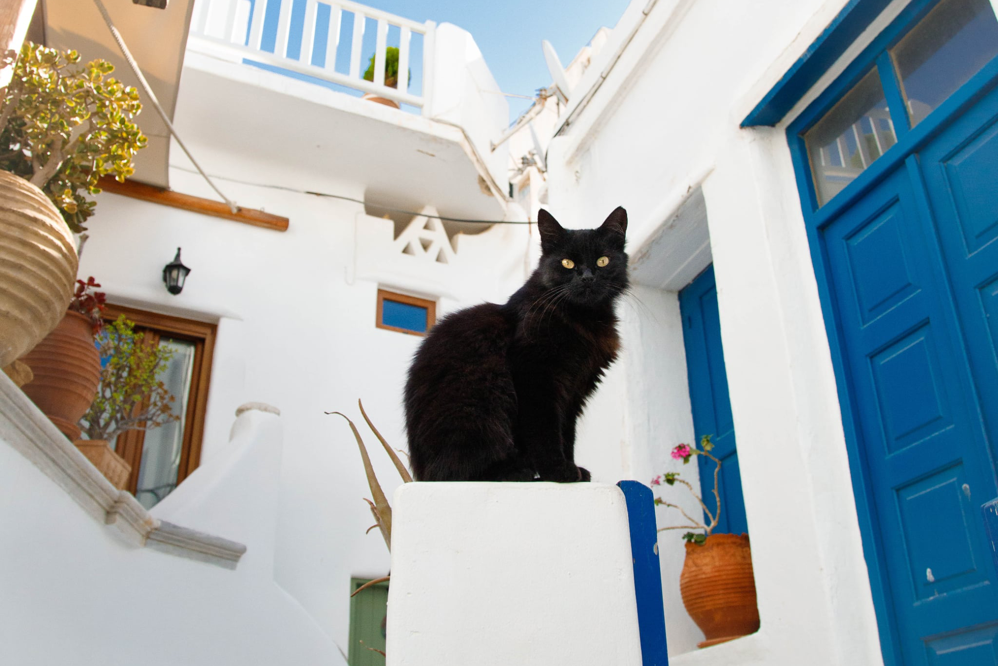 CAFE DEL PHOTO #93 «Тысячу раз спокойной ночи». Școala de fotografie lui Roman Ribaliov. Orașul Chișinău, Moldova