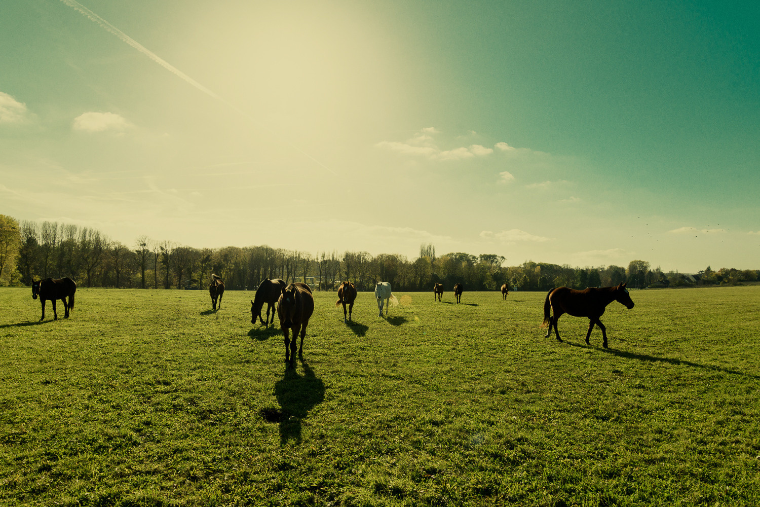 Process — editorial for Engel & Völkers magazine