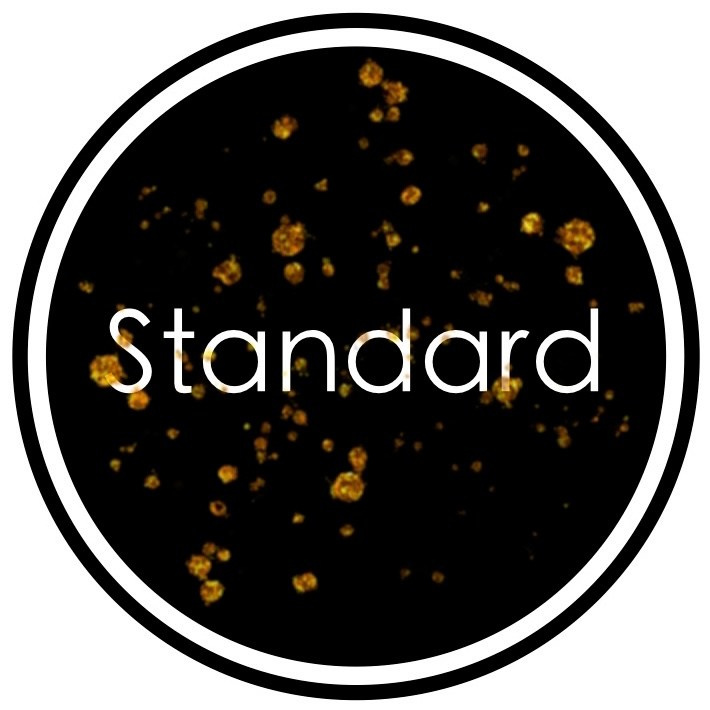 Fotografie. Photography and bodyart in Cologne — Sylvette Loda