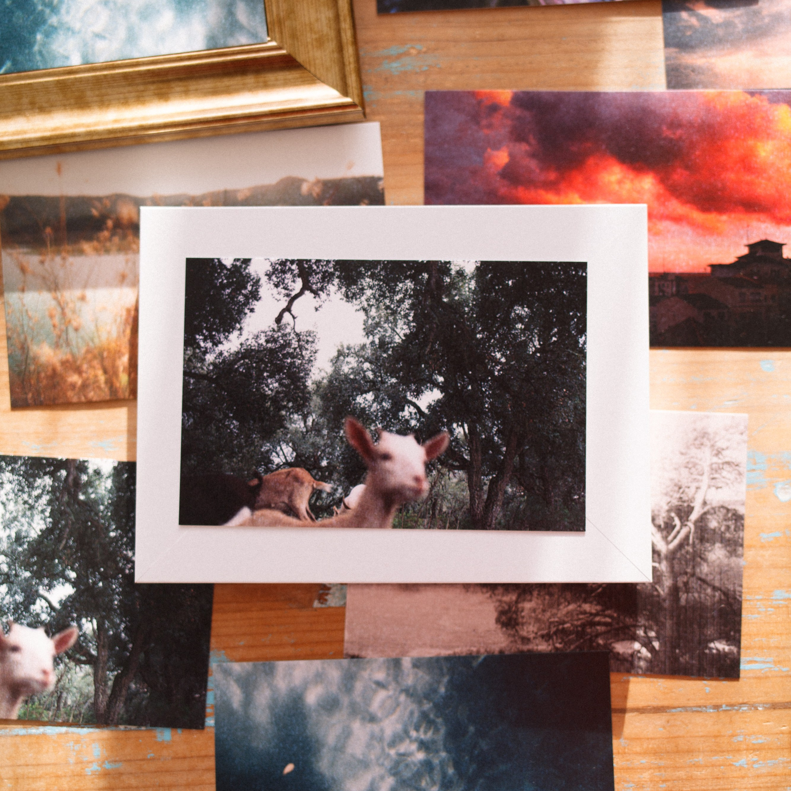 Photography Prints & Postcards by Marina Kálcheva — Limited Editions. Marina Kálcheva — Photographer, Videographer & Visual Artist in Barcelona