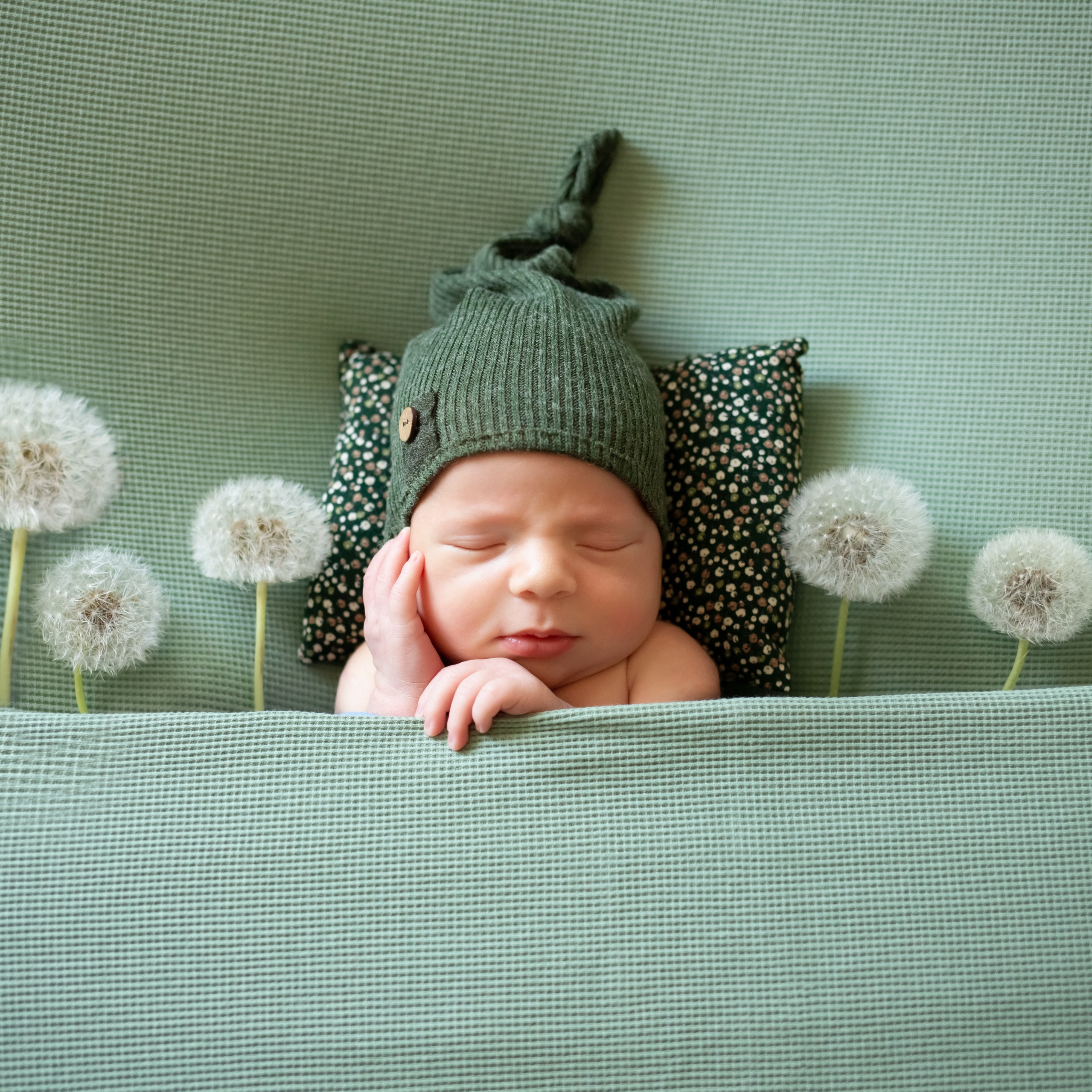 Visita a domicilio con todo lo necesario. Fotógrafa profesional en España
