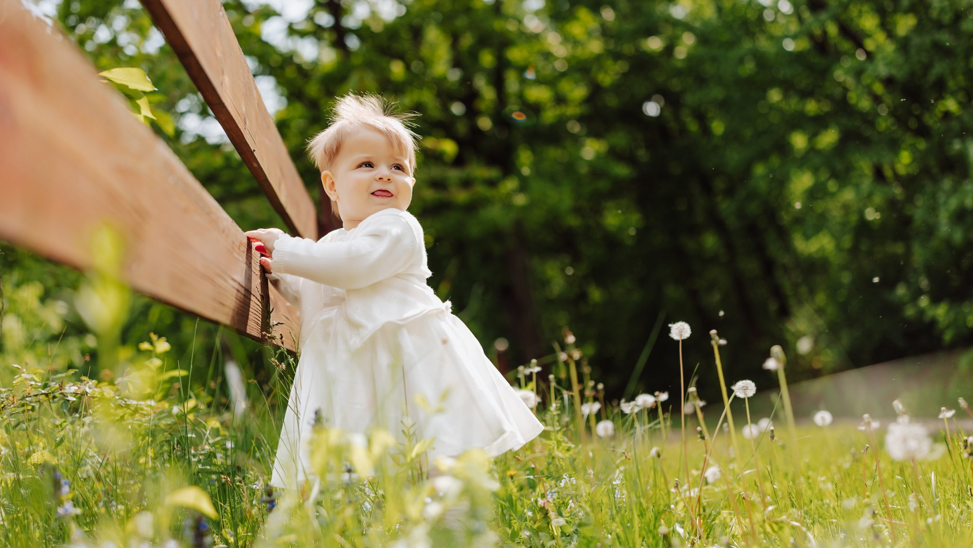 VIDEO. Wedding photographer and videographer