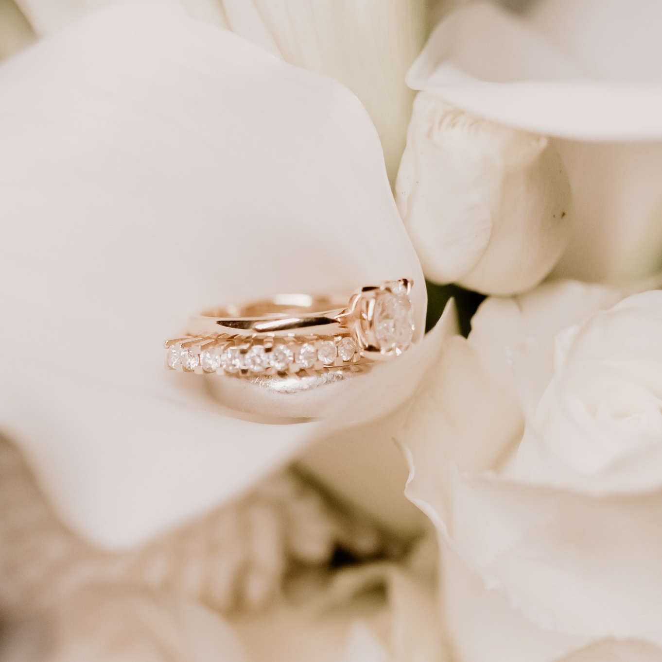 Detailaufnahme von Hochzeitstischdekoration – ästhetische und inspirierende Hochzeitsfotografie