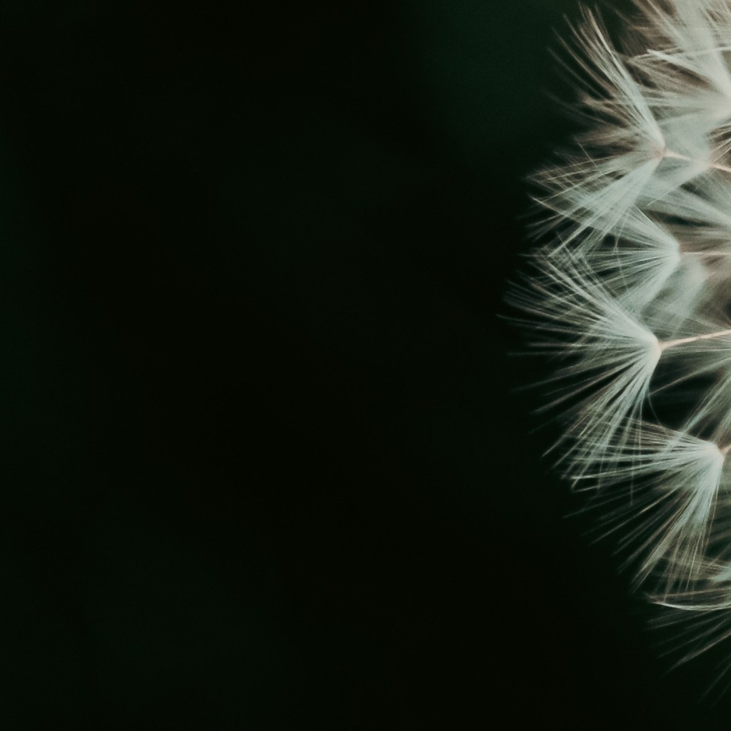 Film. Lifestyle & Documentary Photography in Bristol, Bath & London — def0cused