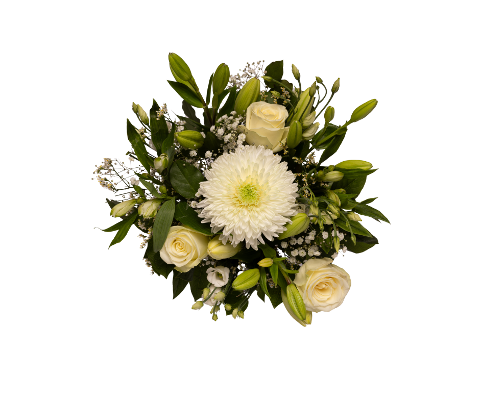 Gør dagen lidt smukkere. Send blomster med Wolt – perfekt til en spontan hilsen, en fejring eller bare fordi. Med Wolt kan du få vores smukkeste buketter leveret på få minutter – perfekt til både hverdag og fest.