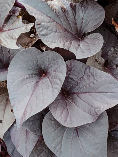 Cosas Bonitas. Yuliia Foto